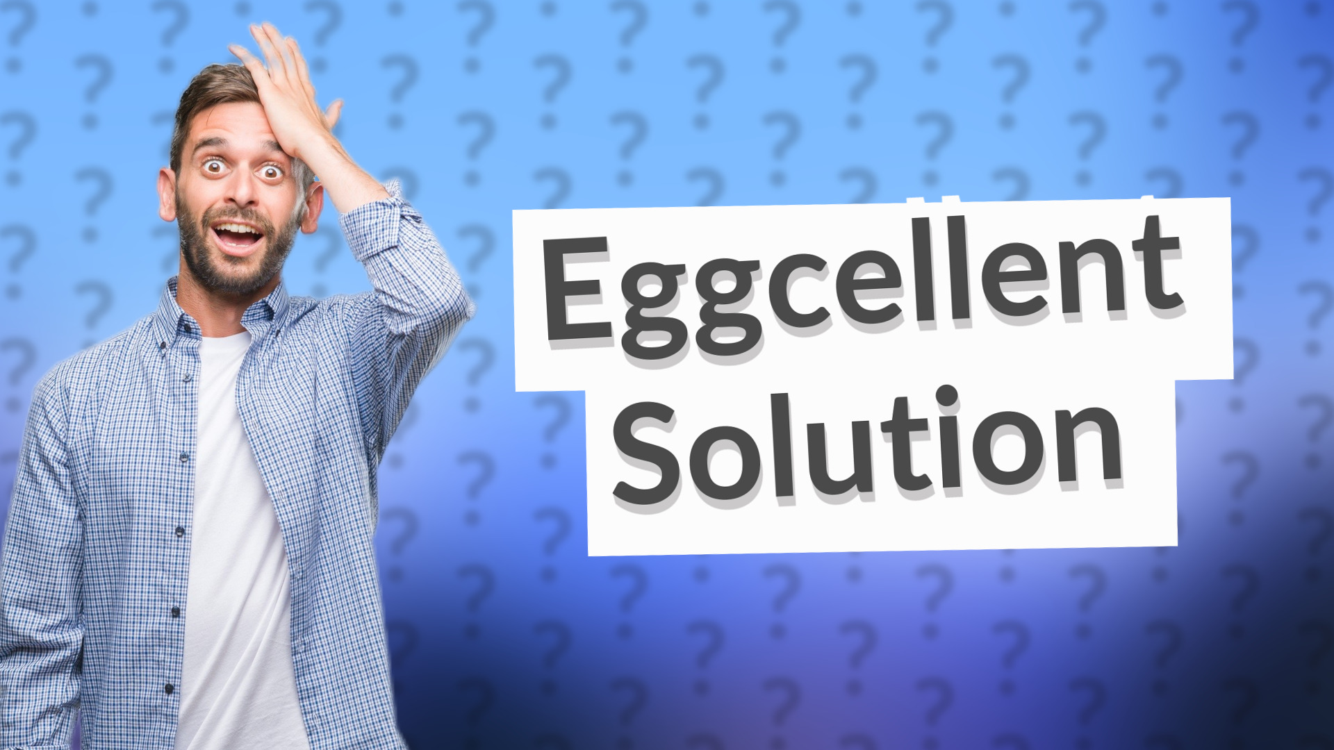 Eggcellent Solution