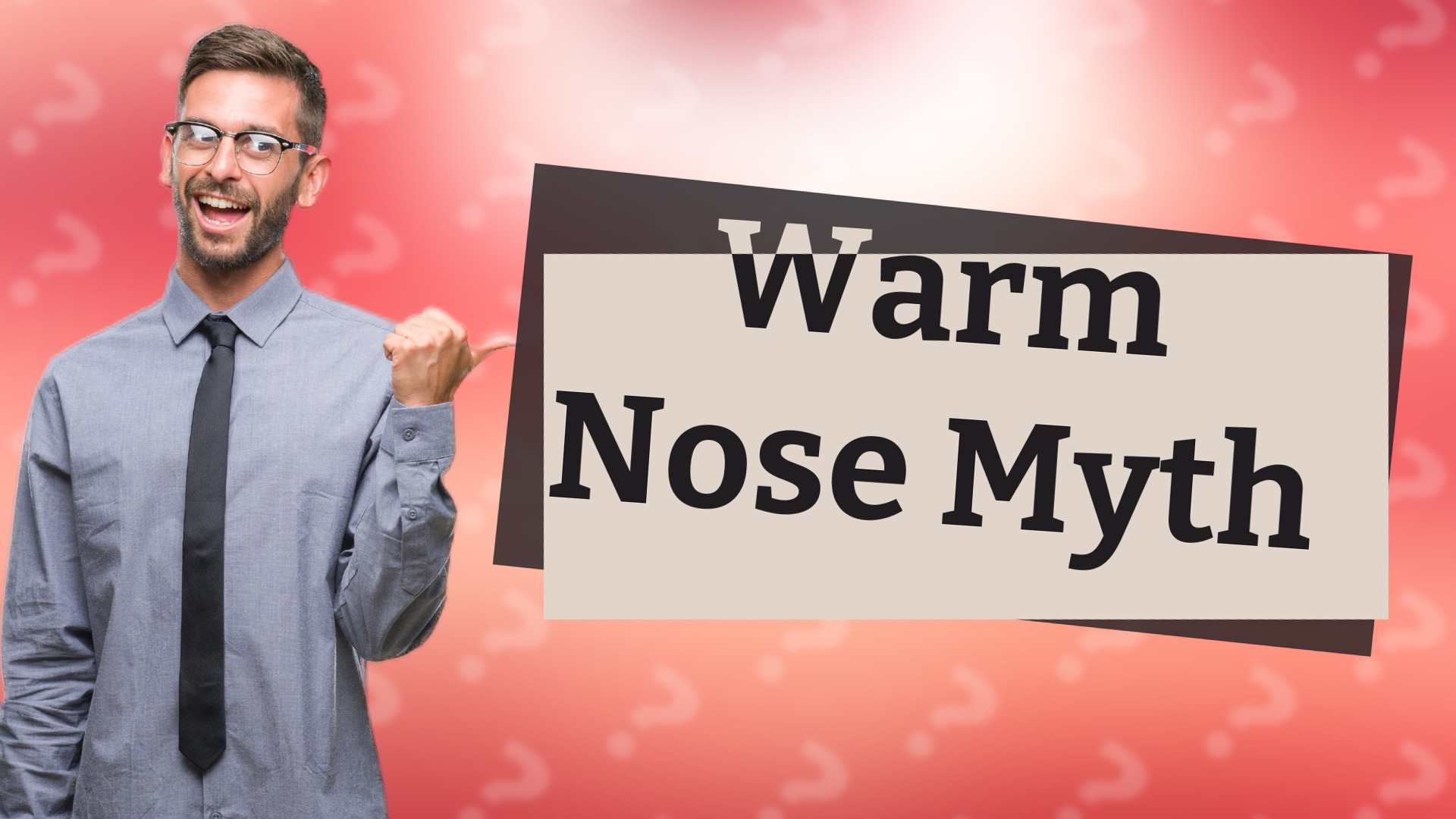 Warm Nose Myth