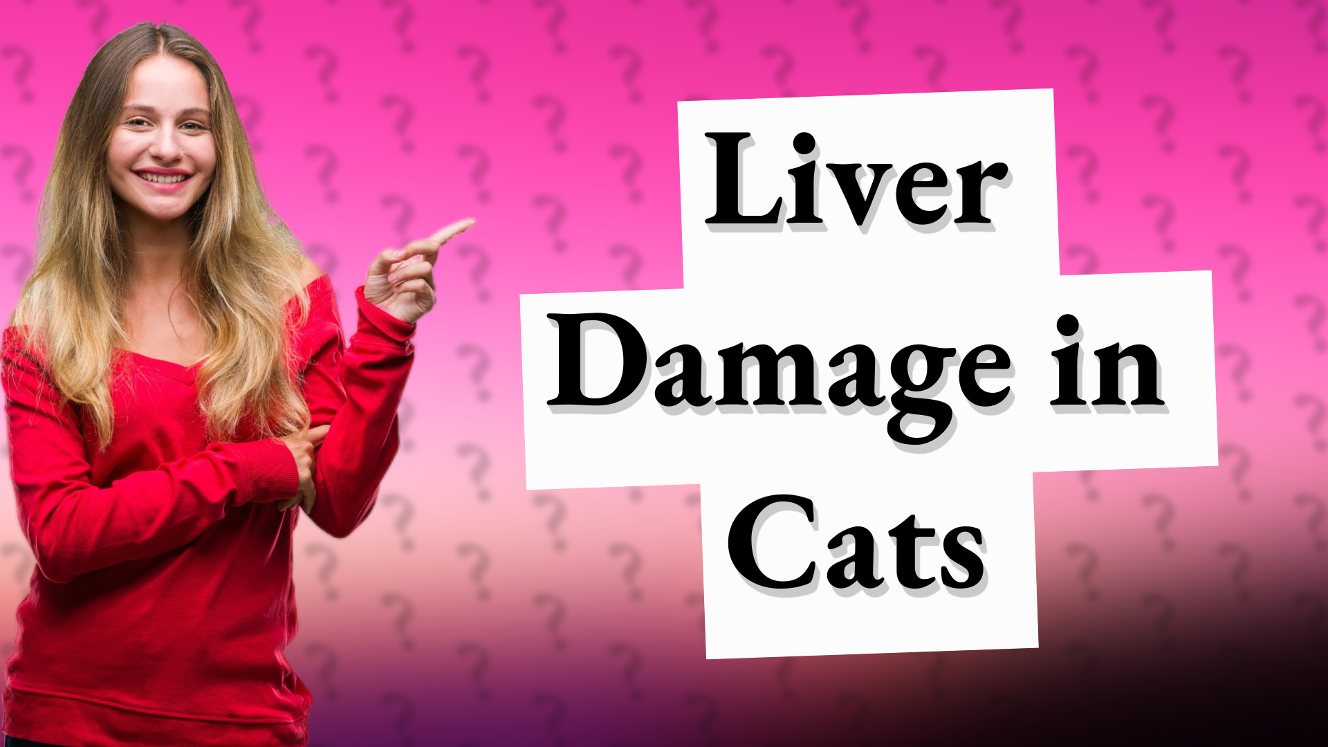 Liver Damage in Cats