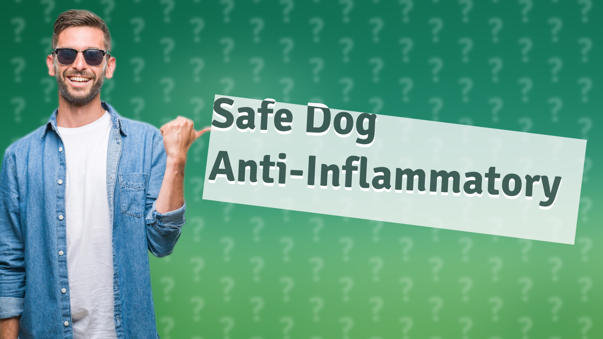 Safe Dog Anti-Inflammatory