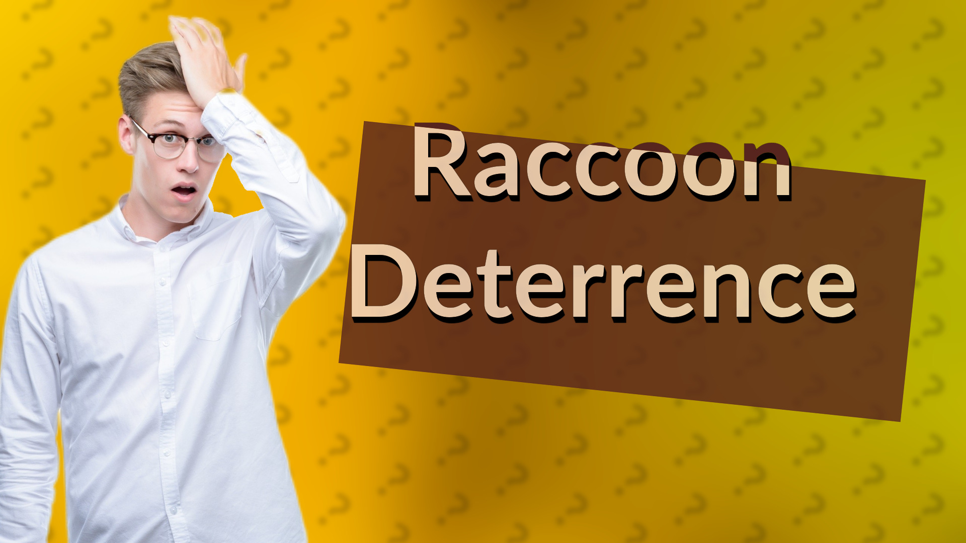 Raccoon Deterrence