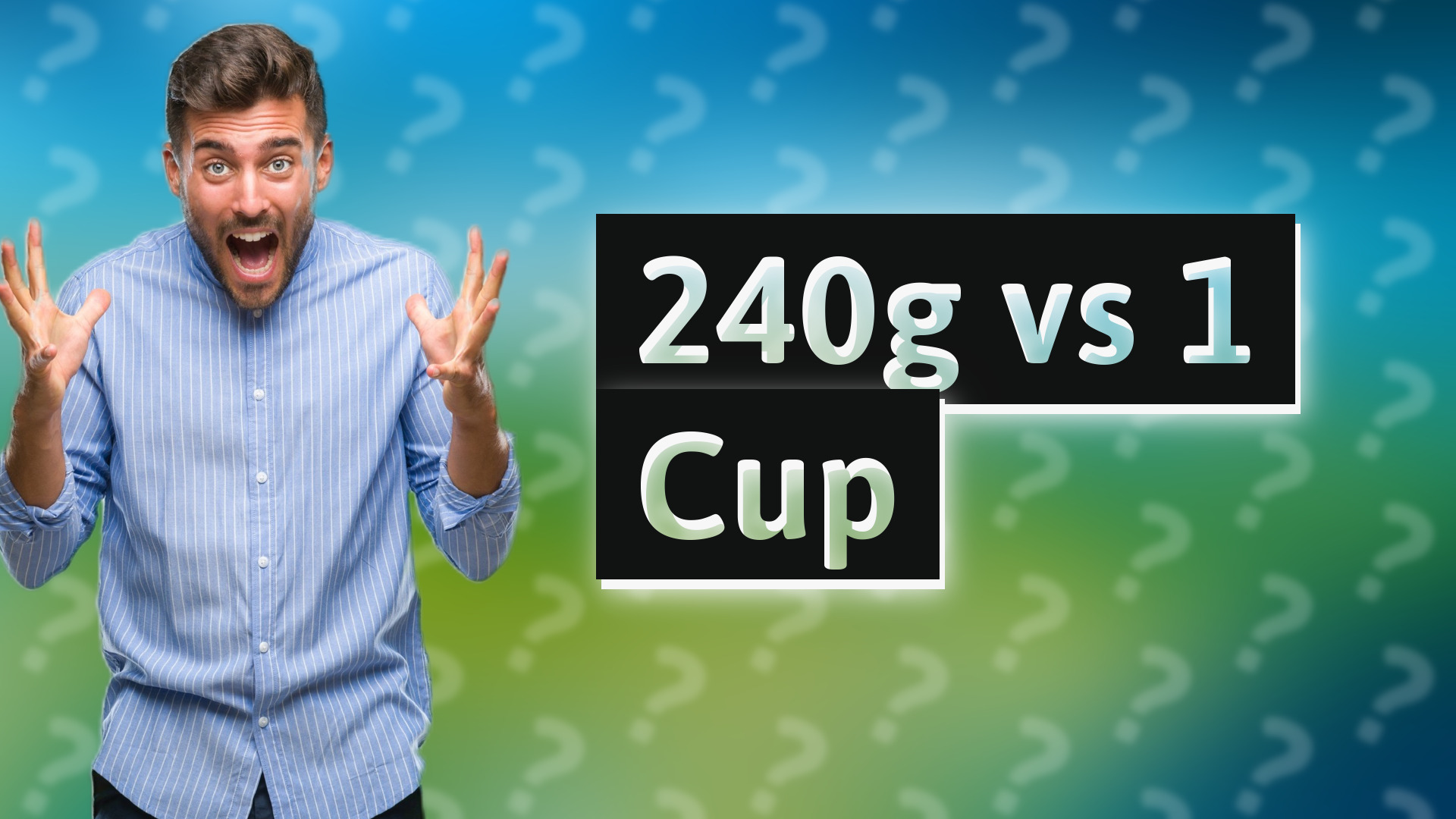 240g vs 1 Cup