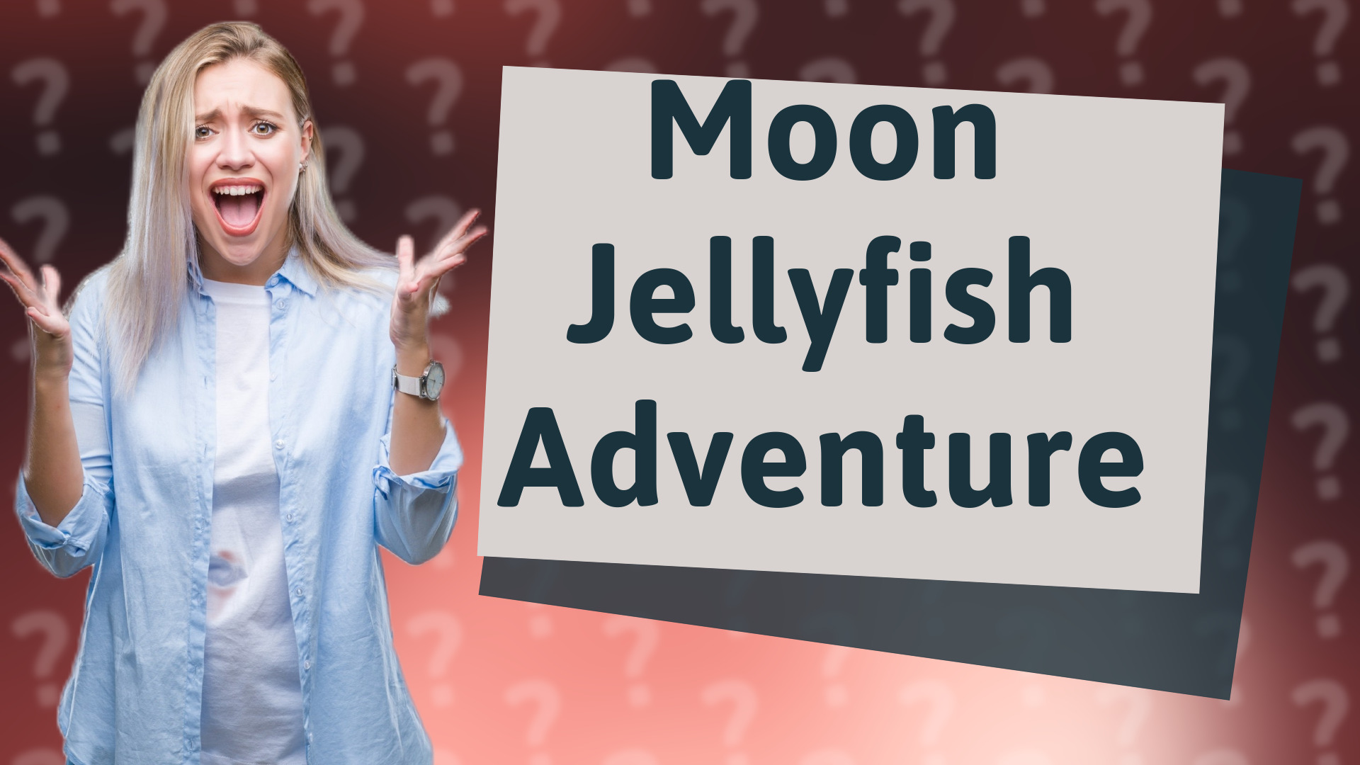 Moon Jellyfish Adventure