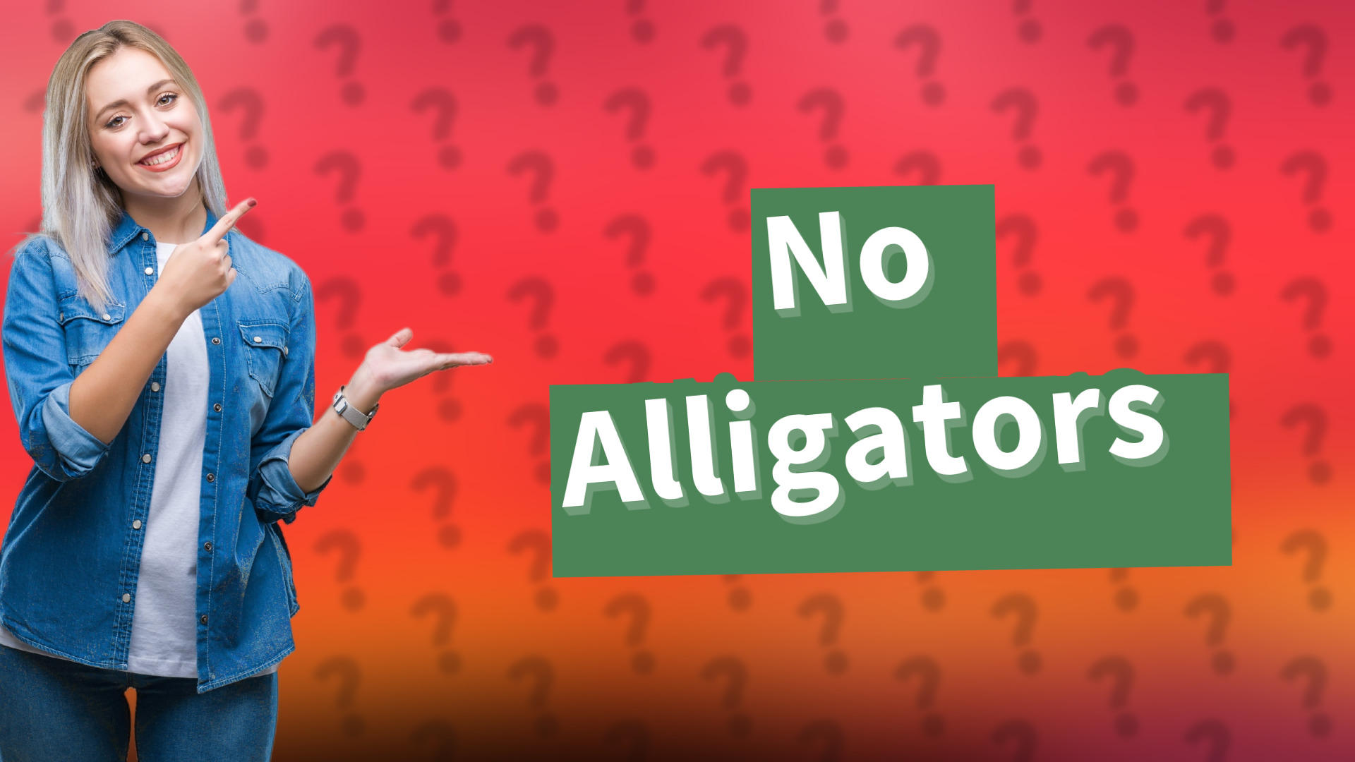No Alligators