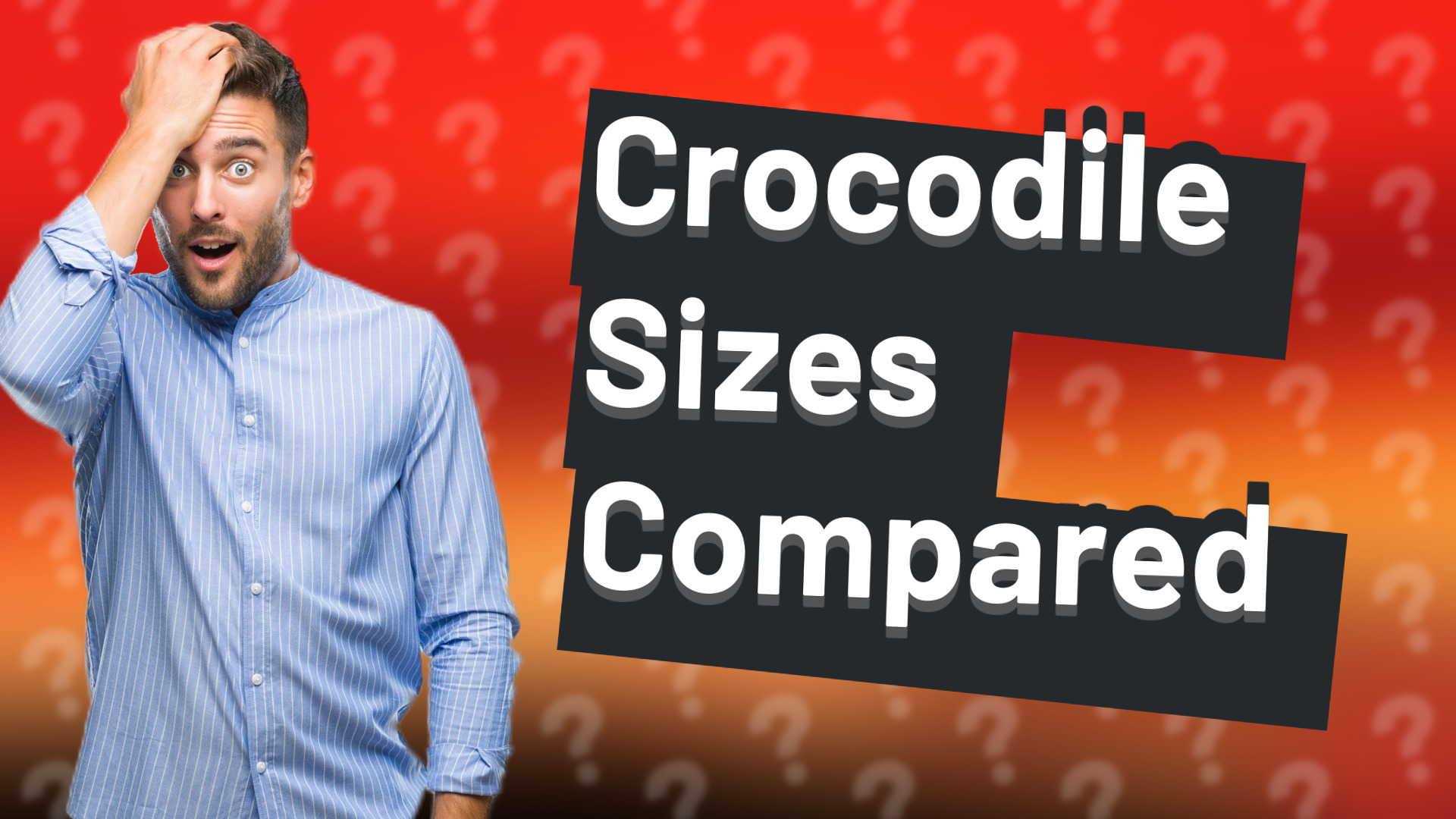 Crocodile Sizes Compared