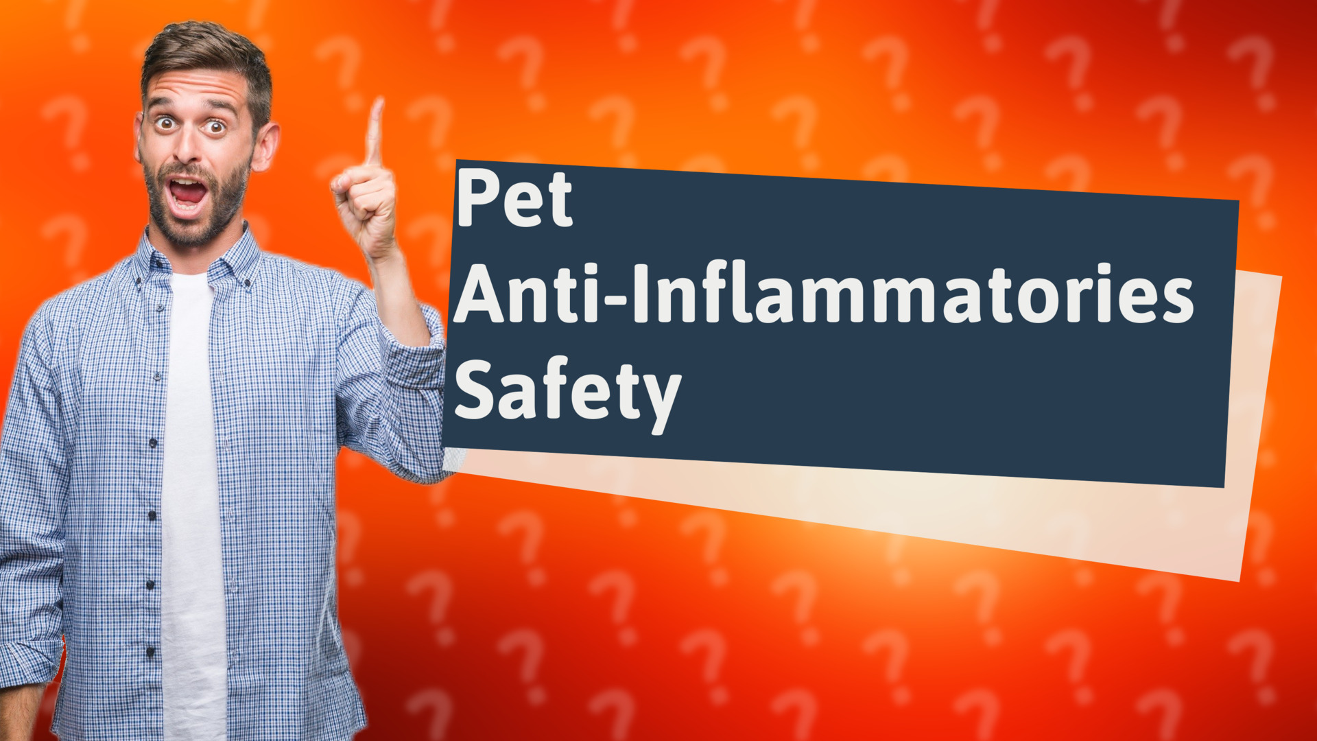 Pet Anti-Inflammatories Safety