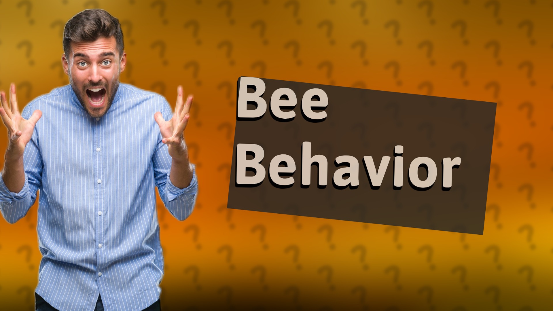 Bee Behavior