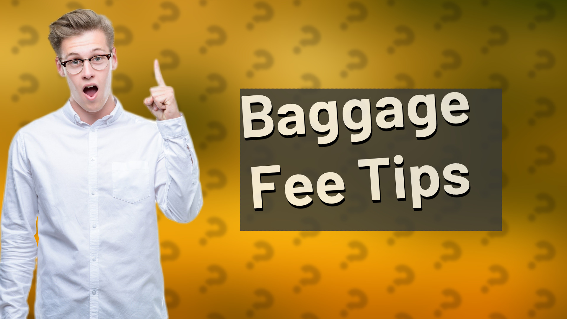 Baggage Fee Tips