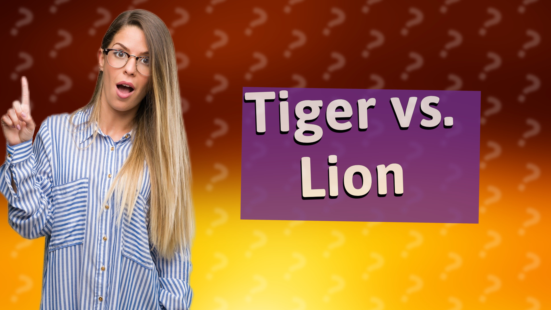 Tiger vs. Lion