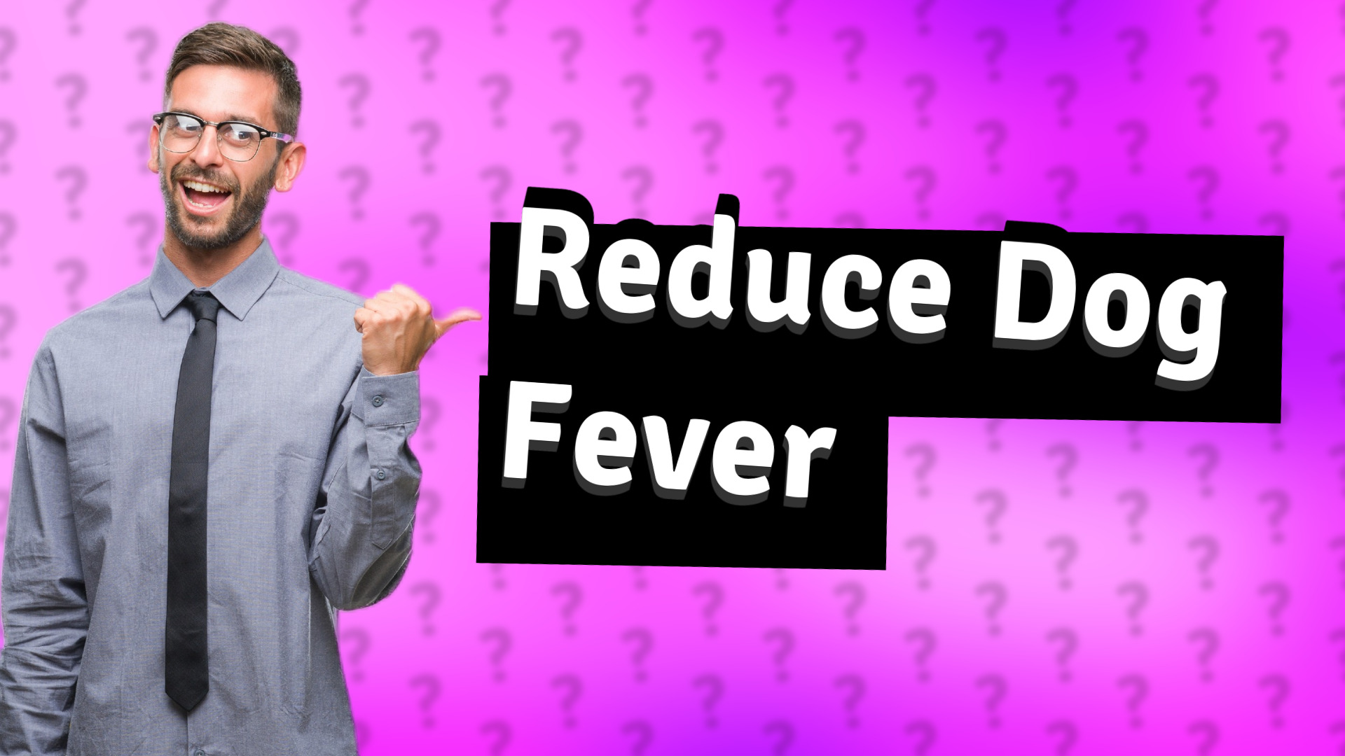Reduce Dog Fever