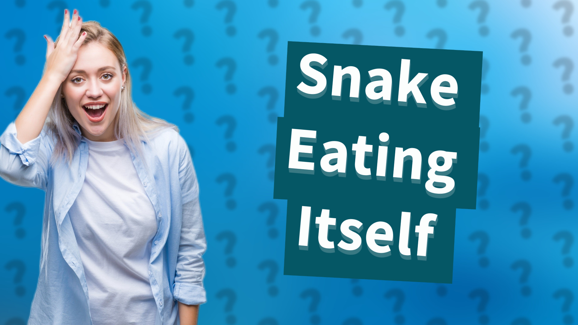 Snake Eating Itself