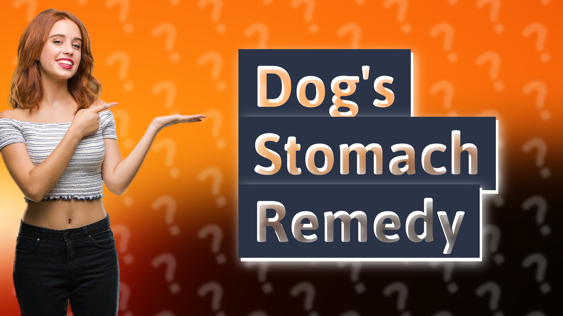 Dog's Stomach Remedy
