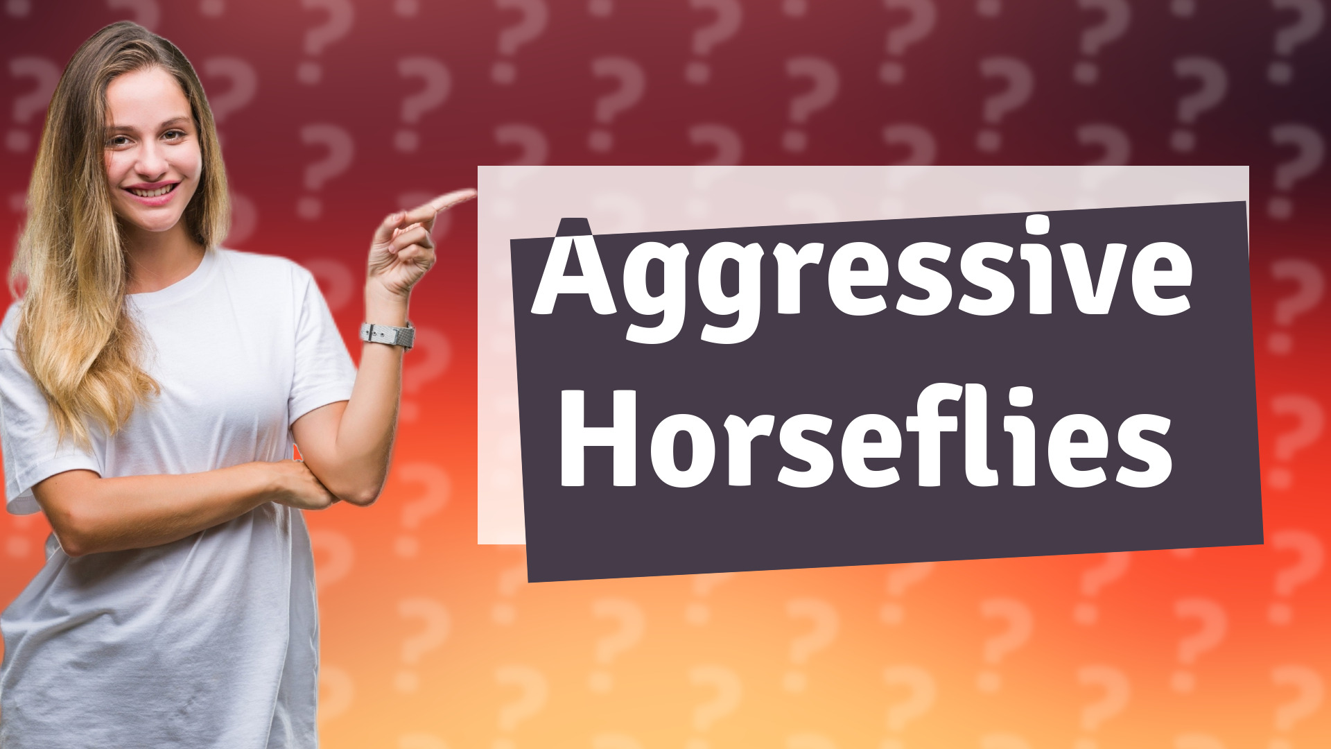 Aggressive Horseflies