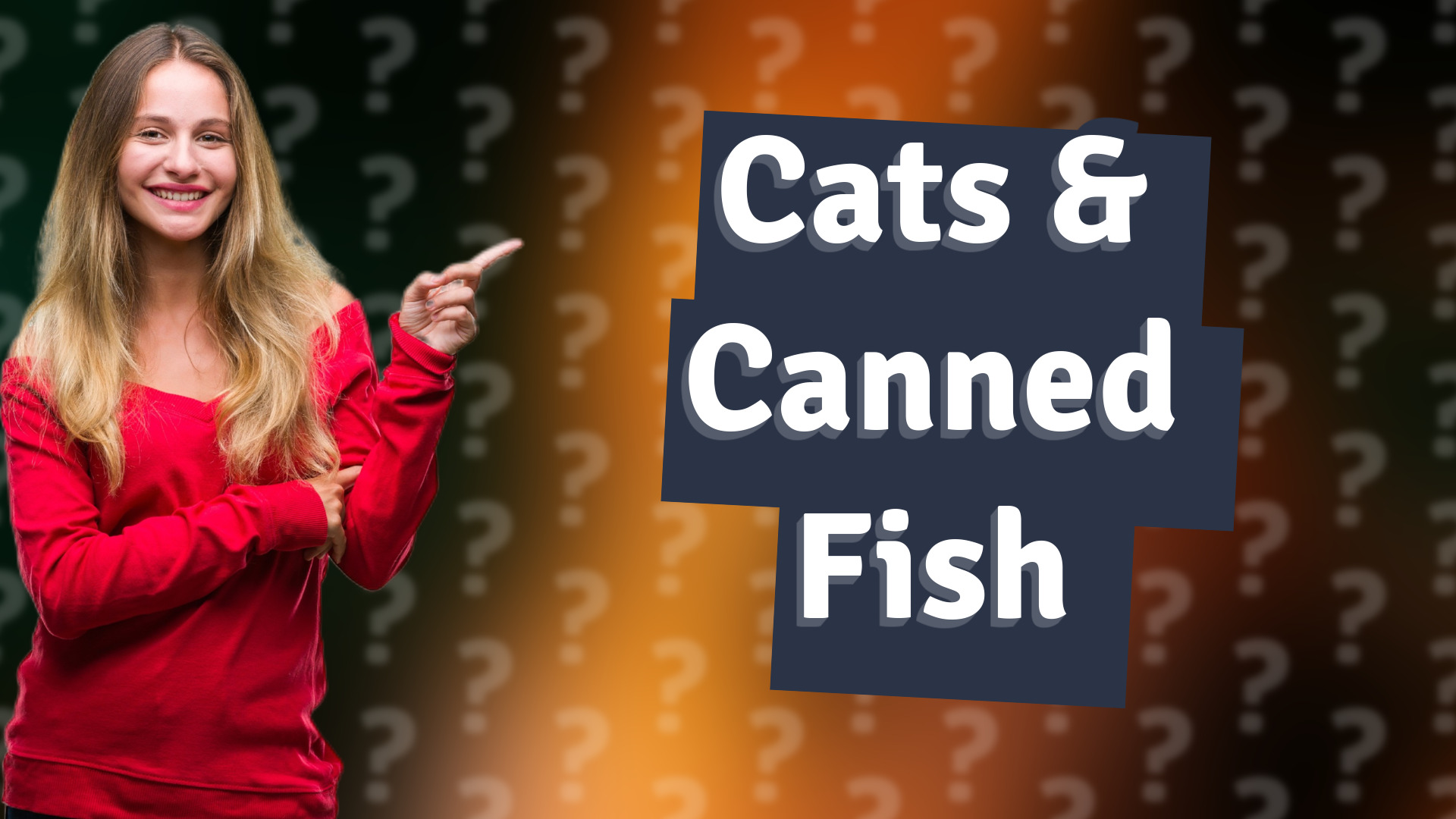 Cats & Canned Fish