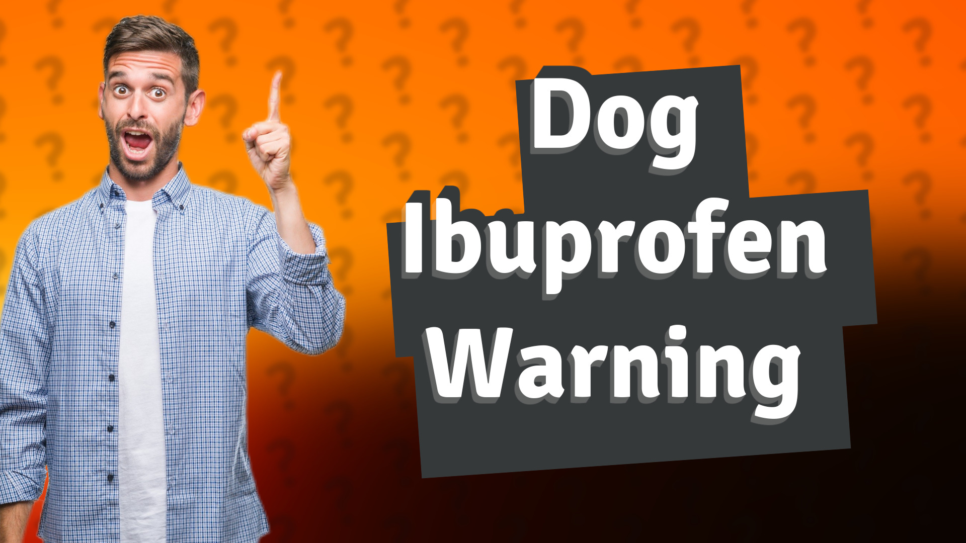 Dog Ibuprofen Warning
