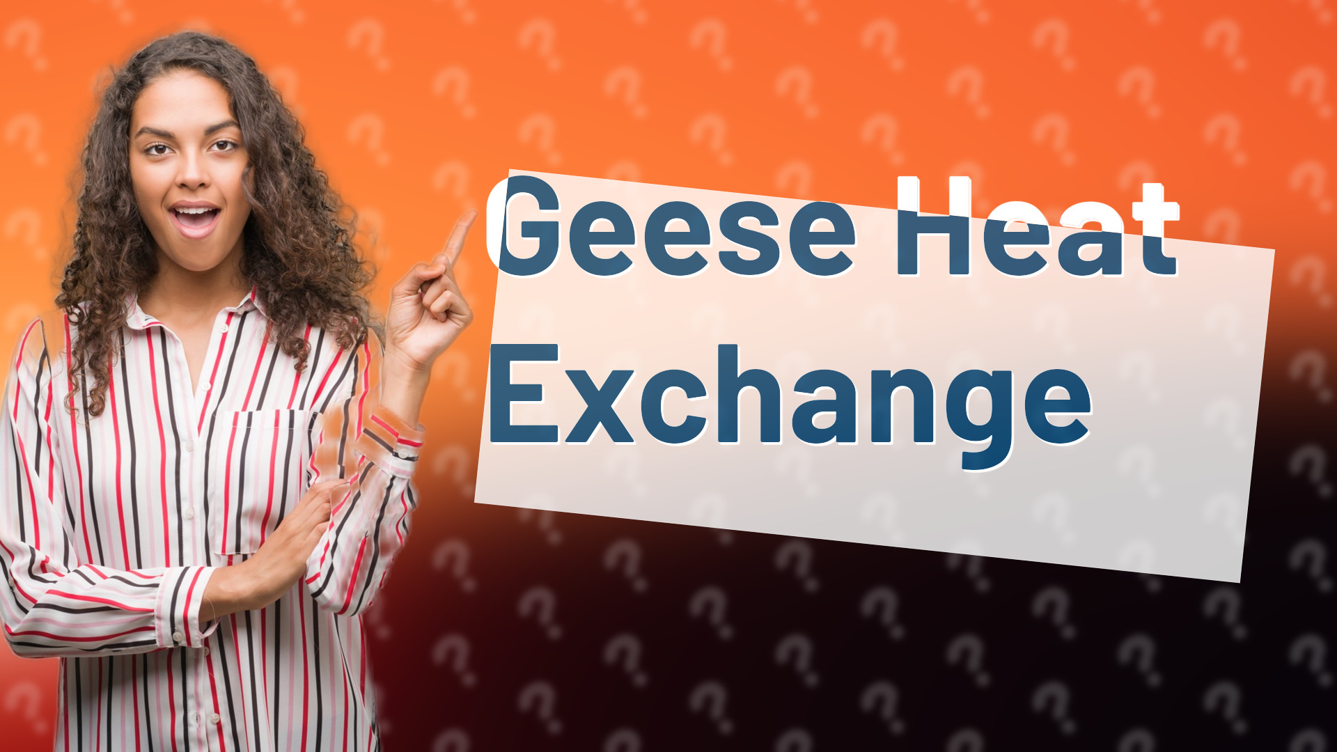 Geese Heat Exchange