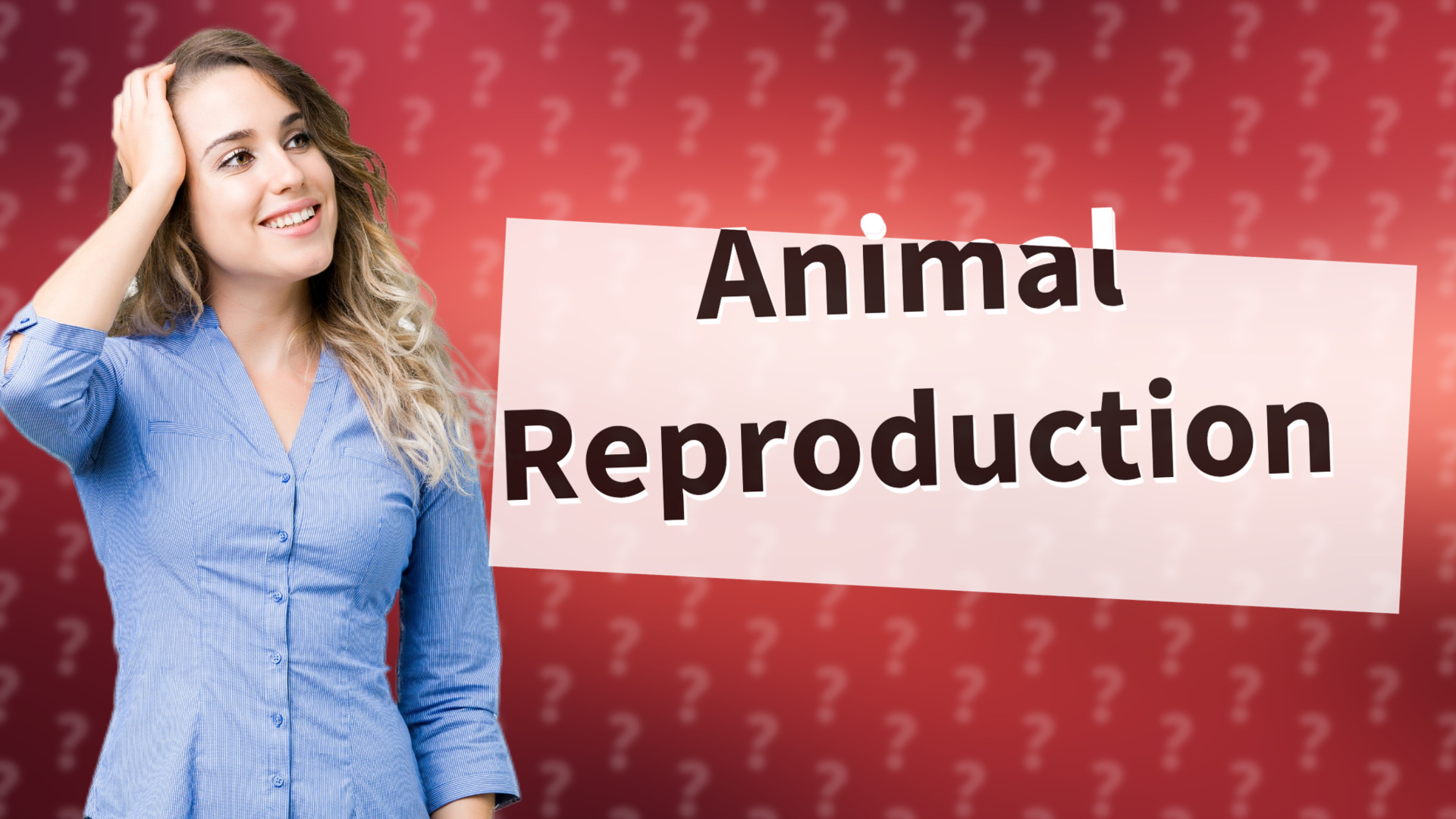 Animal Reproduction