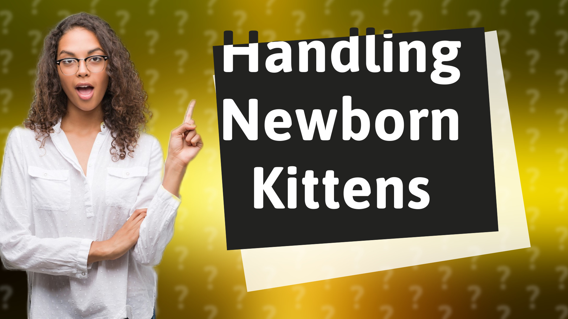 Handling Newborn Kittens