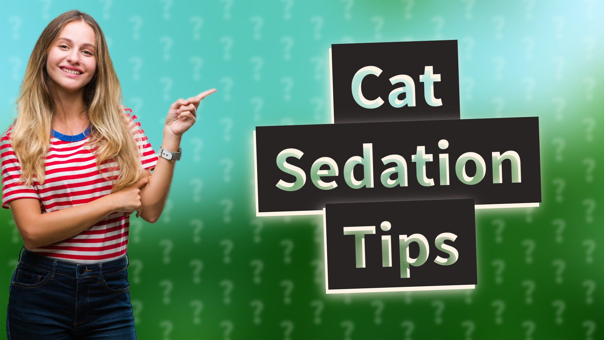 Cat Sedation Tips