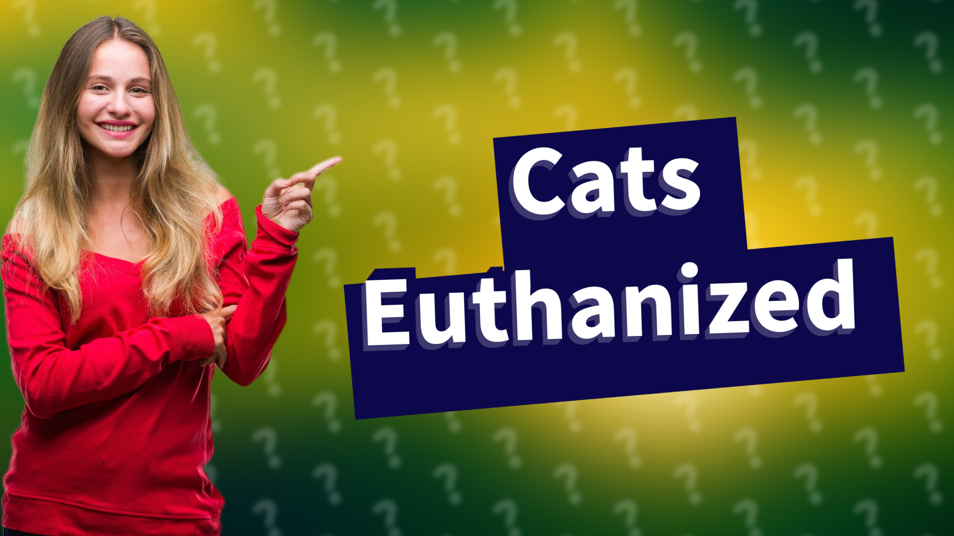 Cats Euthanized
