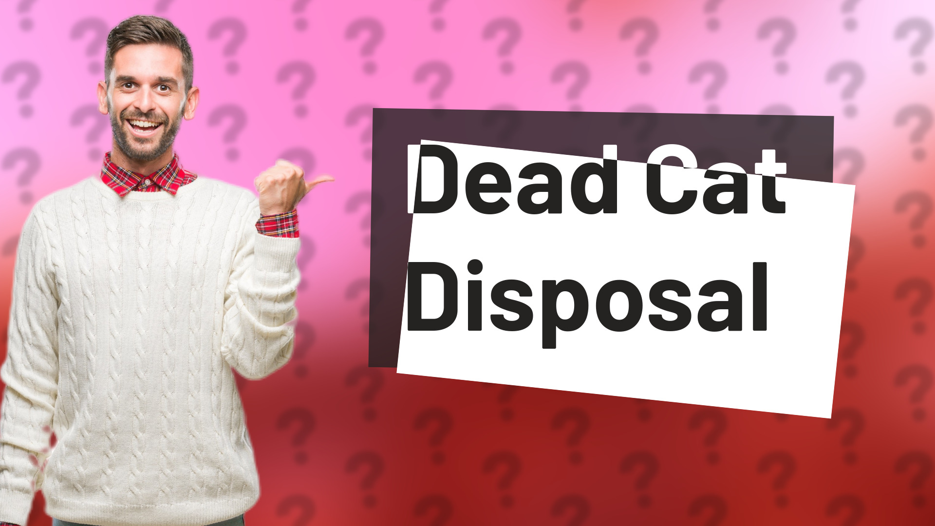 Dead Cat Disposal