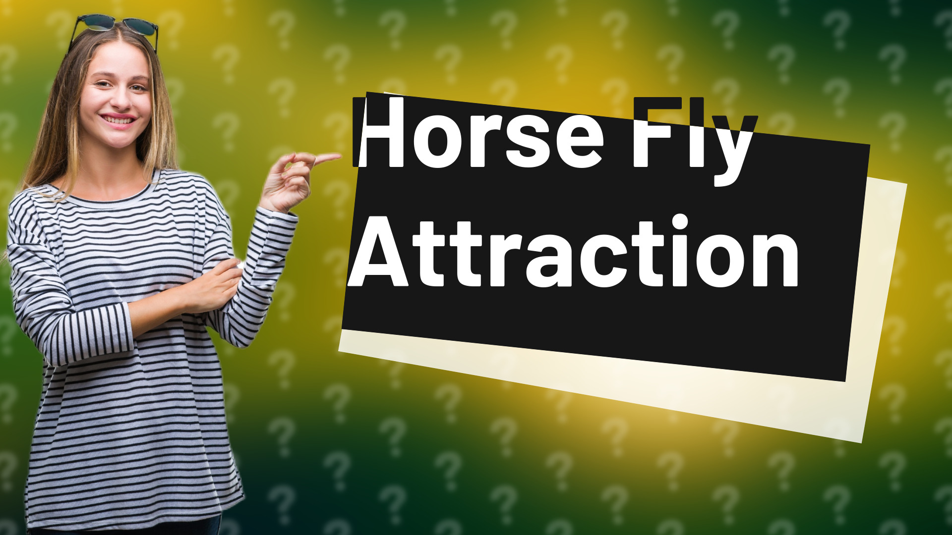 Horse Fly Attraction
