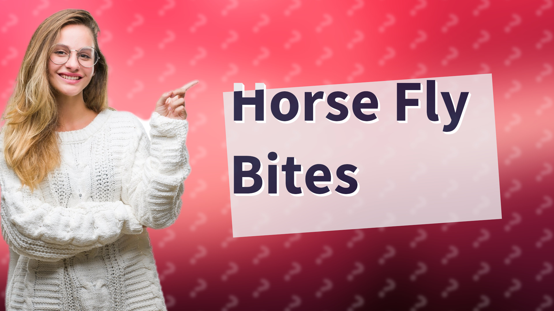 Horse Fly Bites