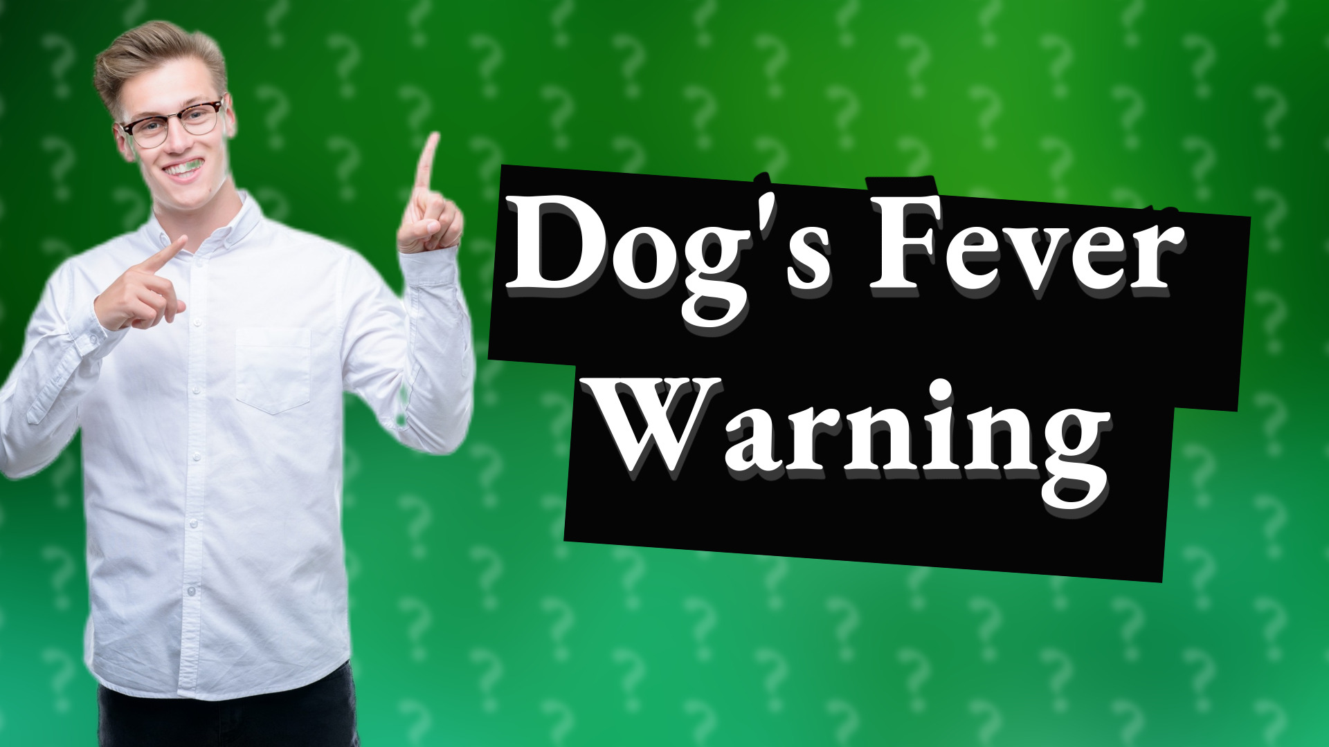 Dog's Fever Warning