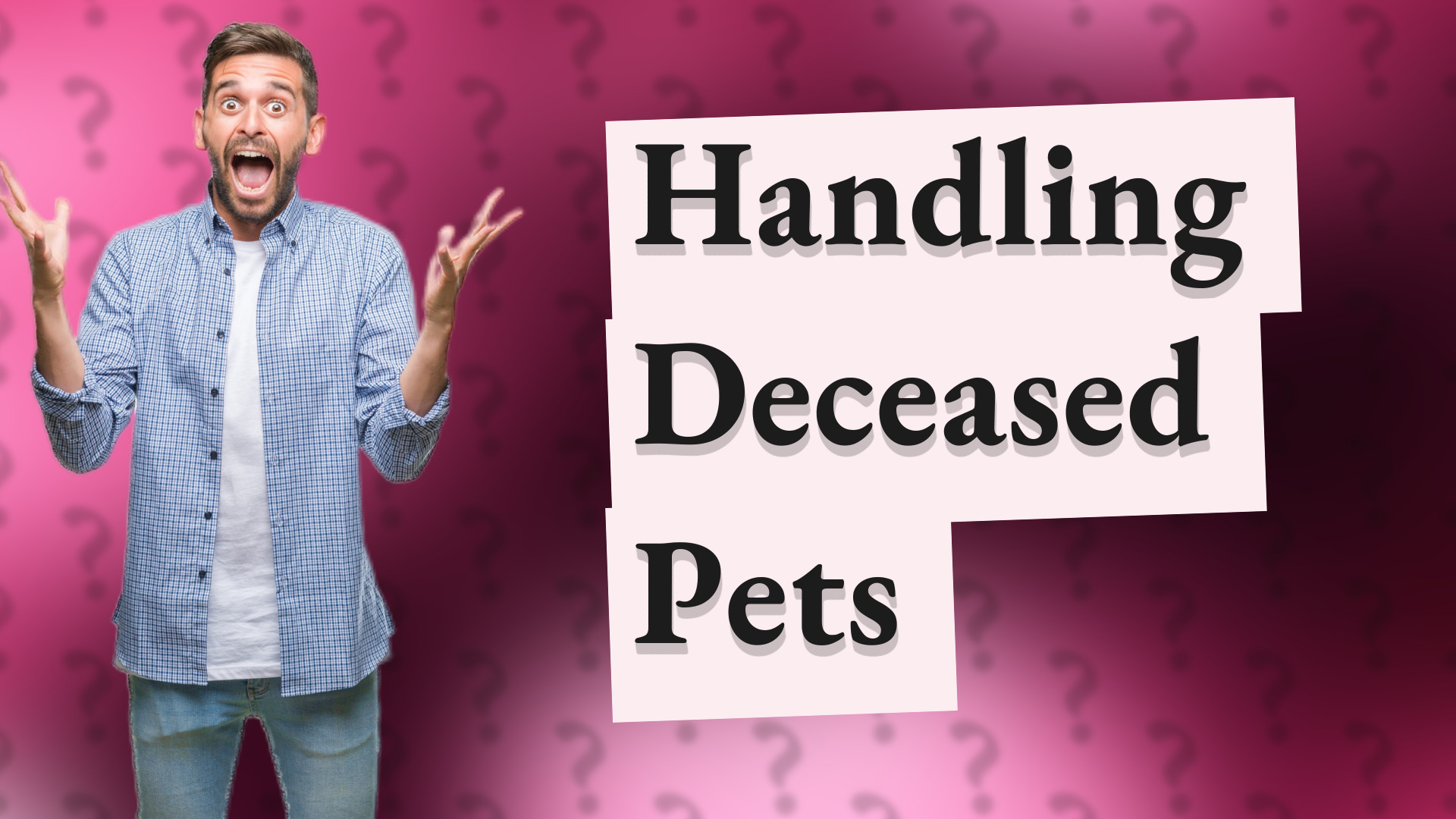 Handling Deceased Pets