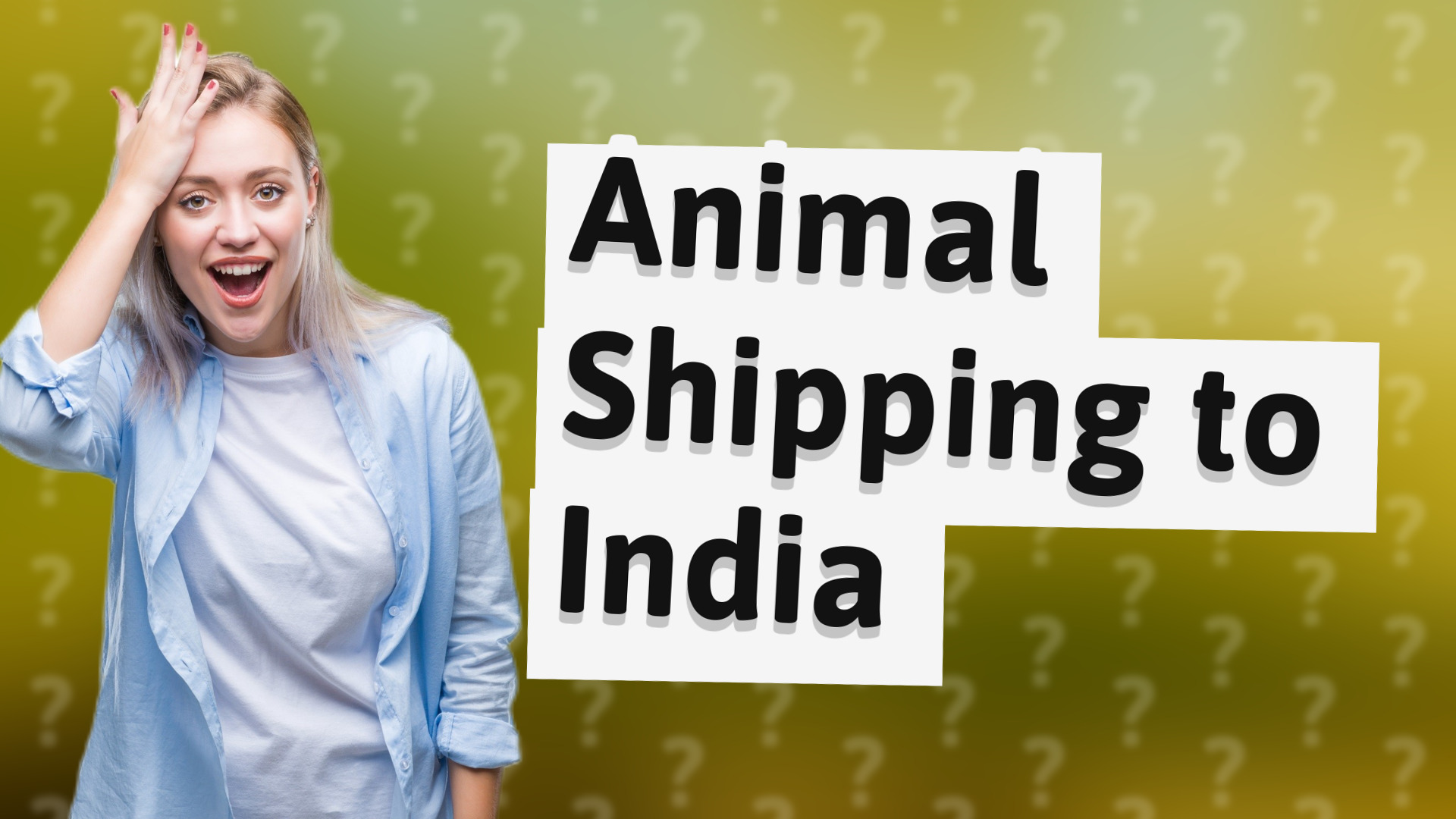 Animal Shipping to India