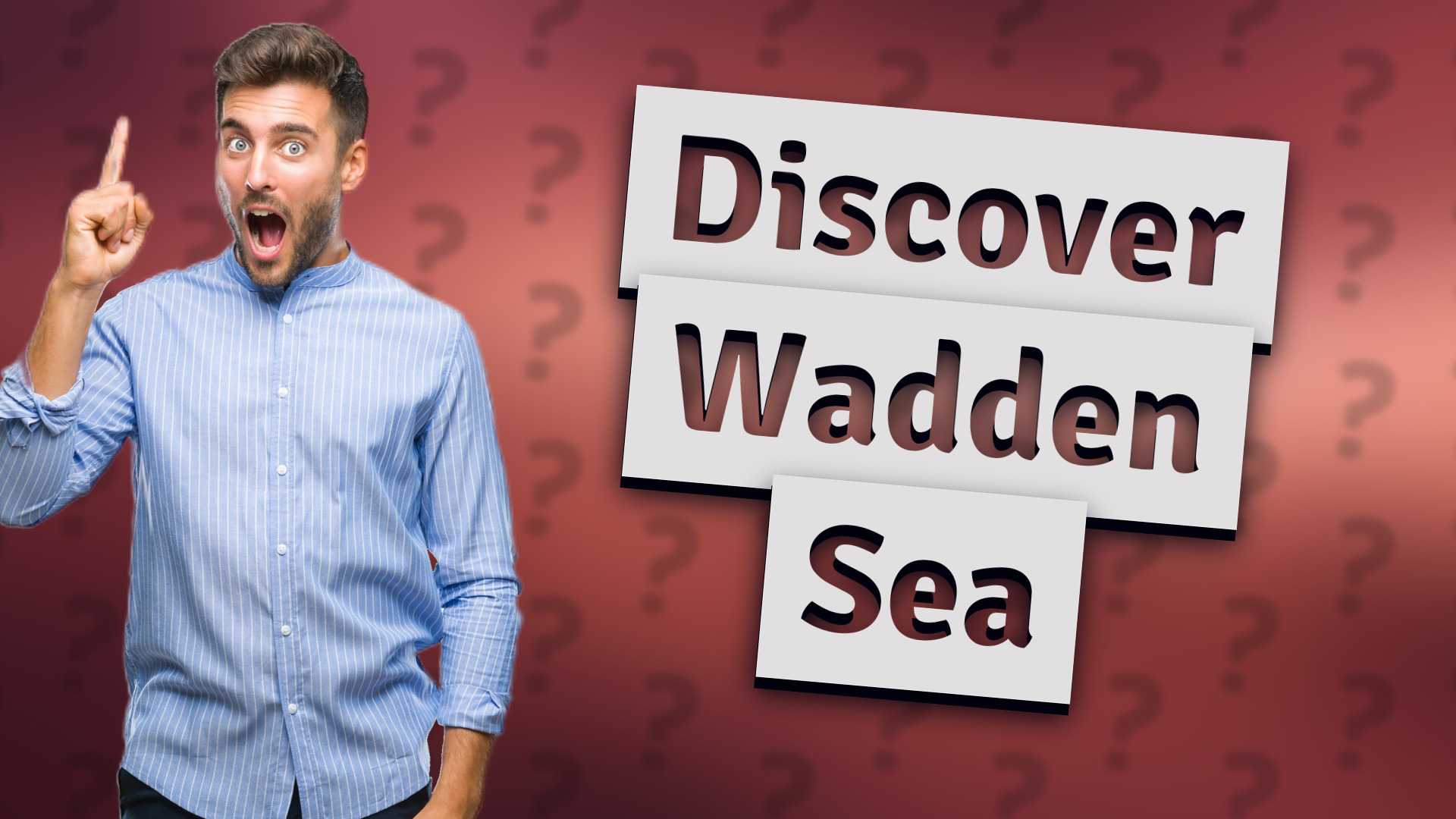 Discover Wadden Sea
