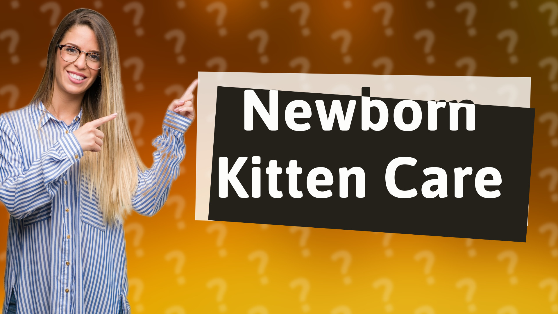 Newborn Kitten Care
