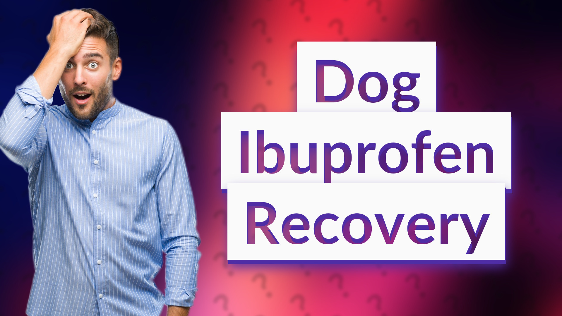 Dog Ibuprofen Recovery