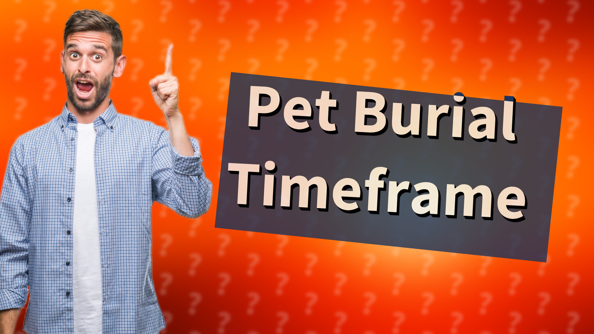 Pet Burial Timeframe