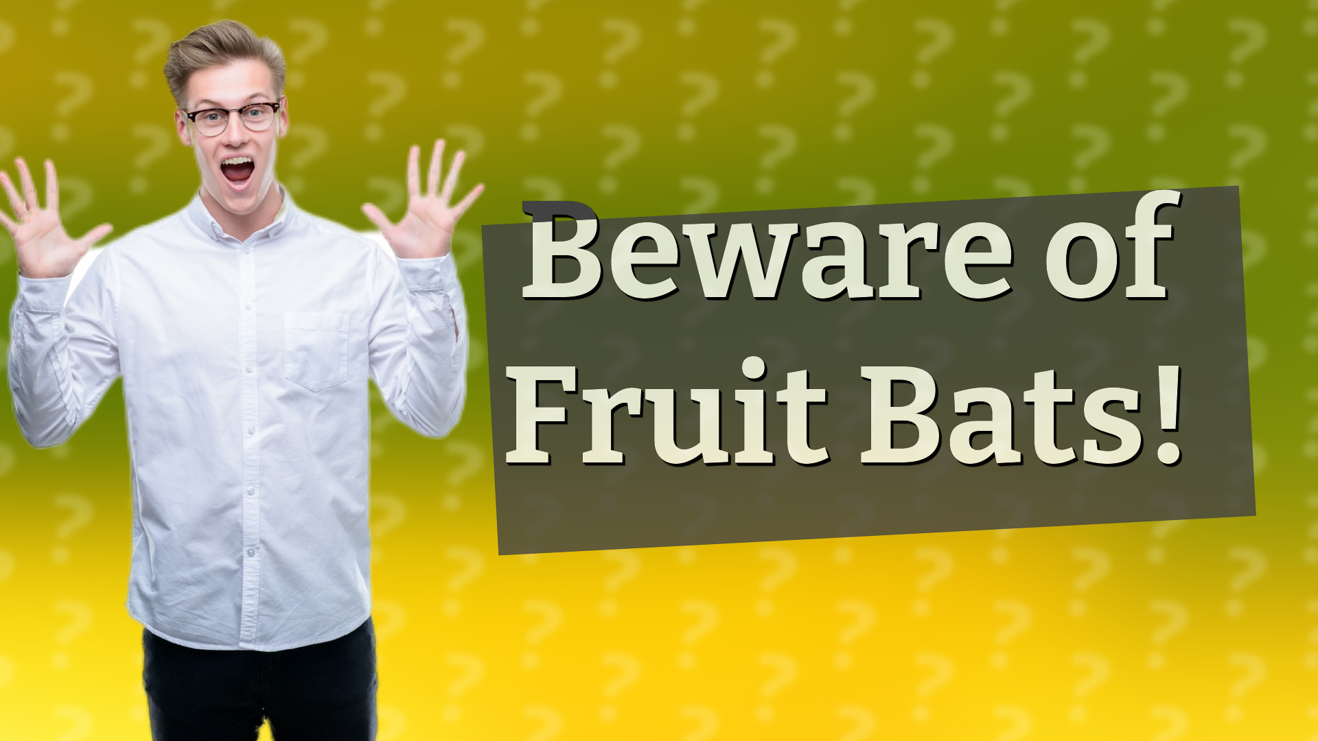 Beware of Fruit Bats!