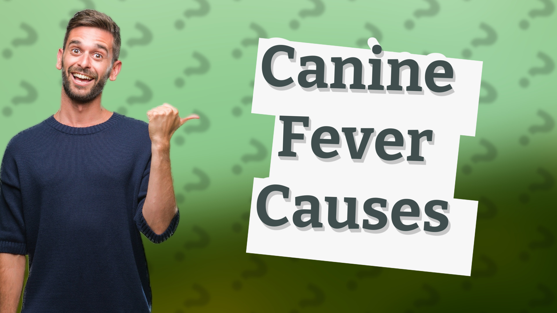 Canine Fever Causes