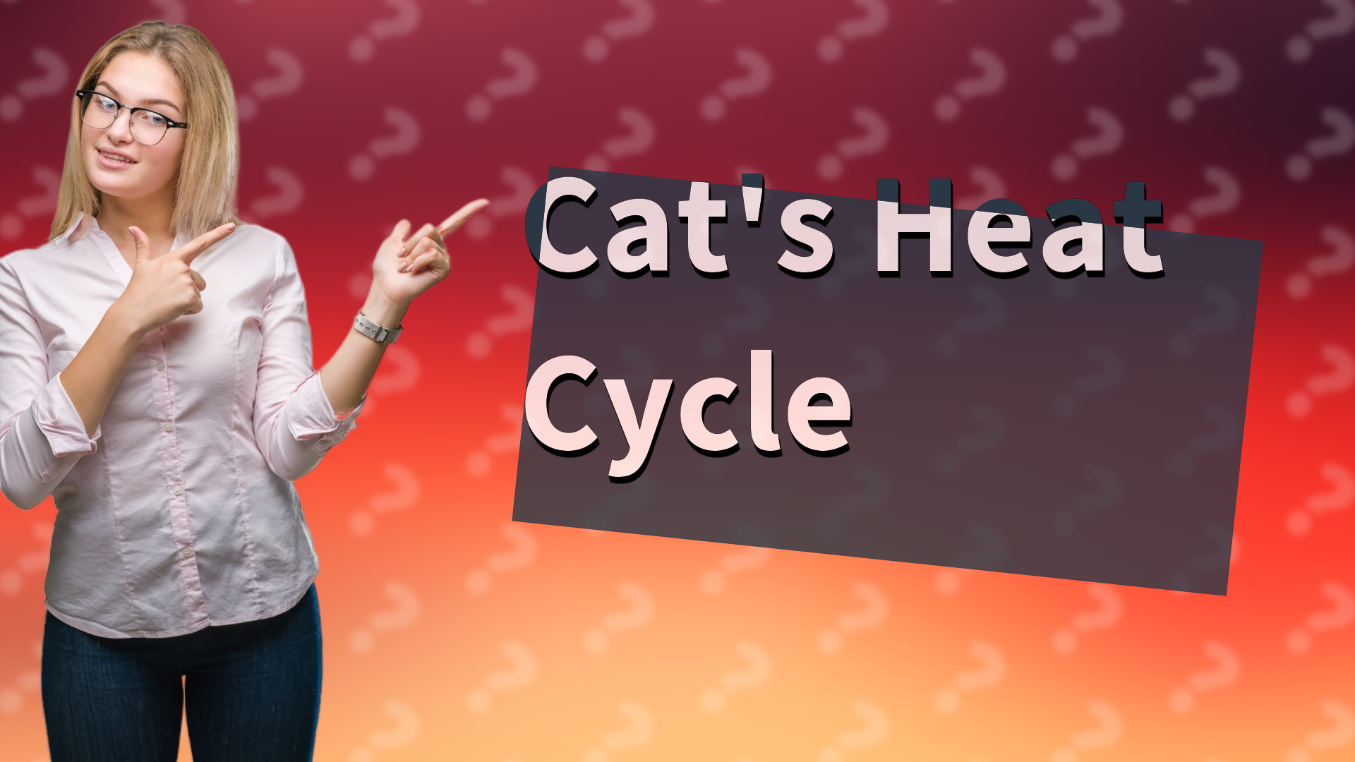 Cat's Heat Cycle