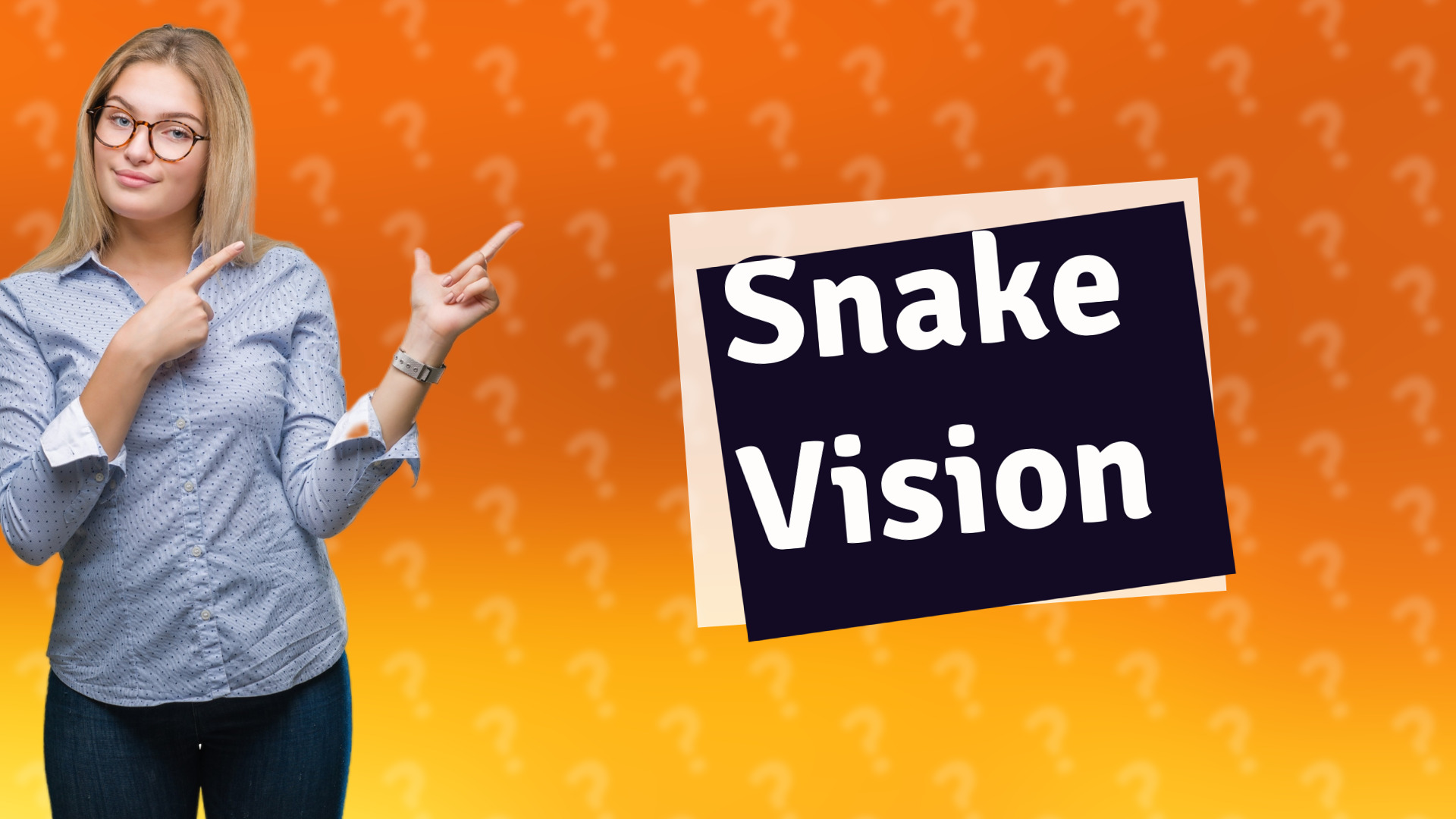 Snake Vision