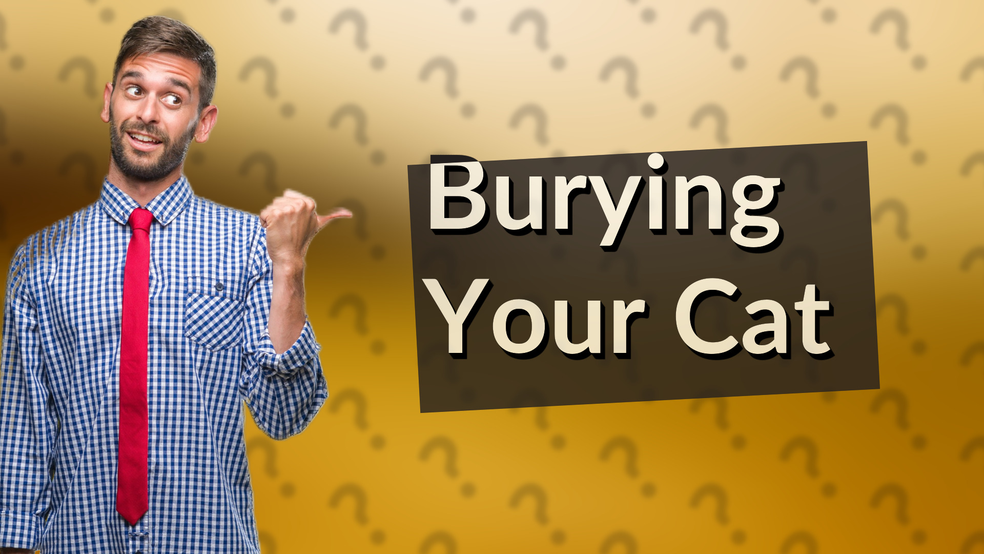 Burying Your Cat