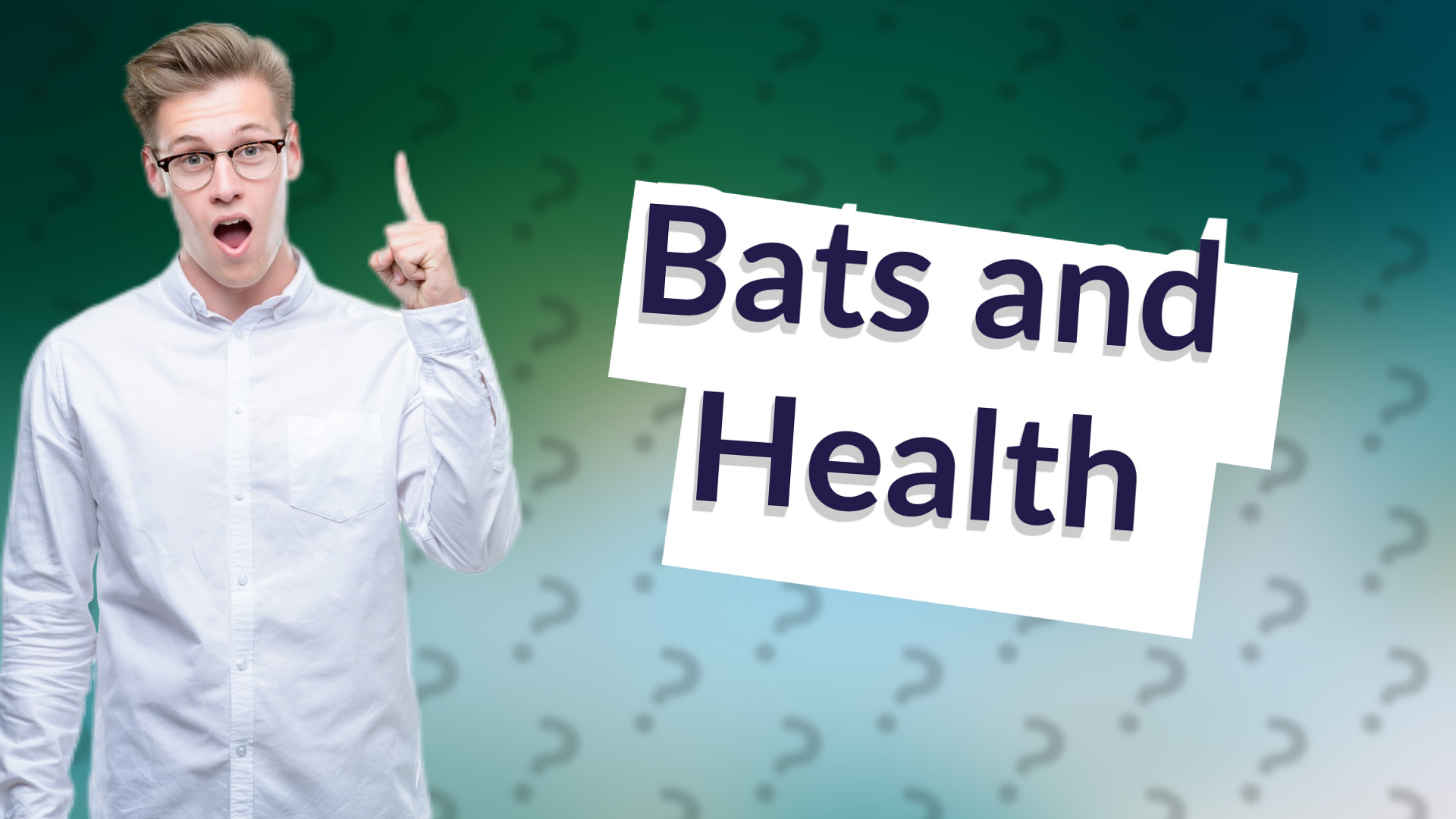 Bats and Health