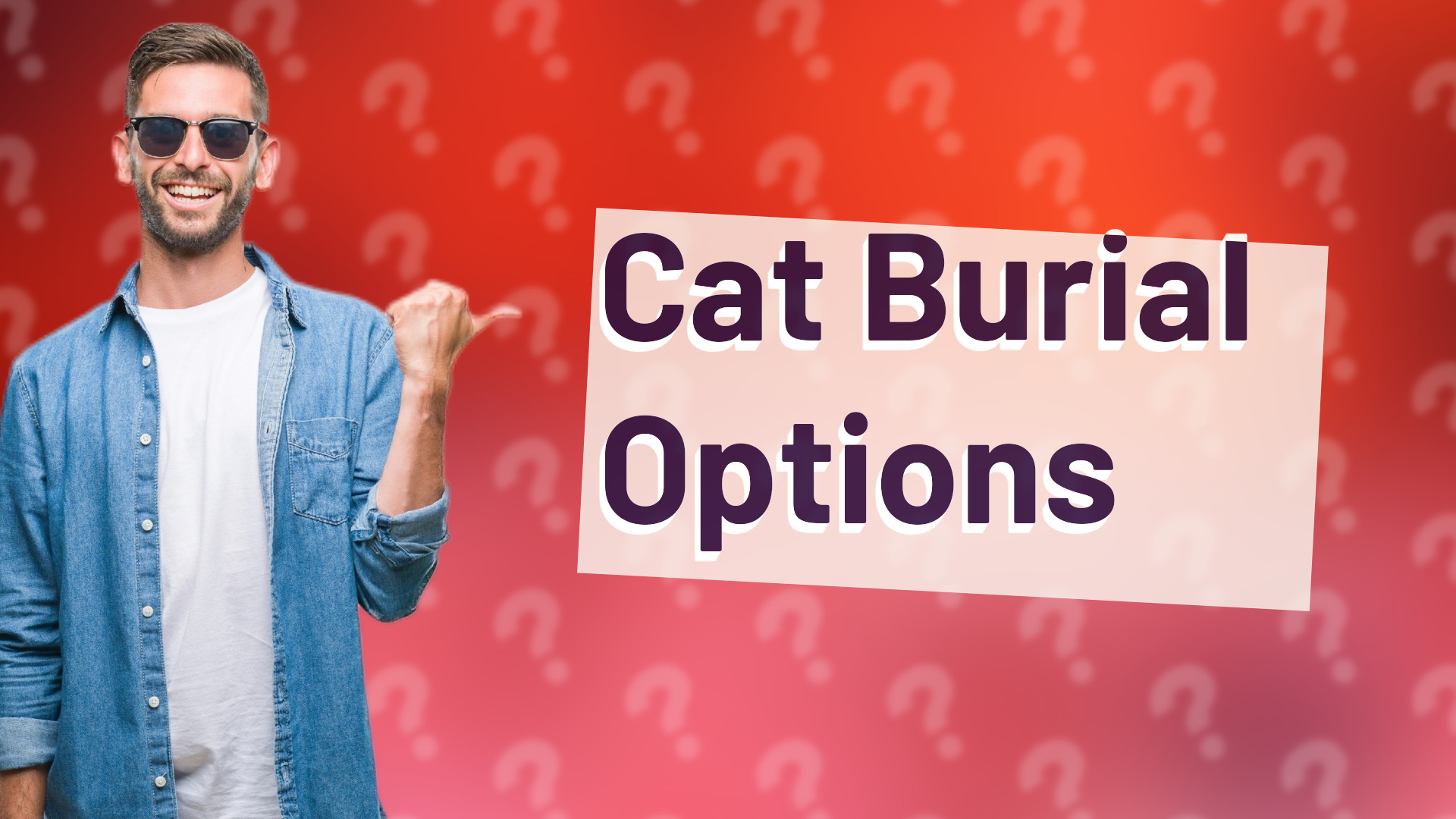 Cat Burial Options