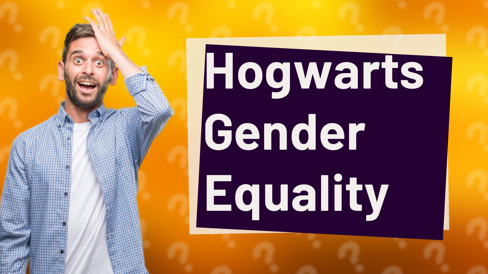Hogwarts Gender Equality