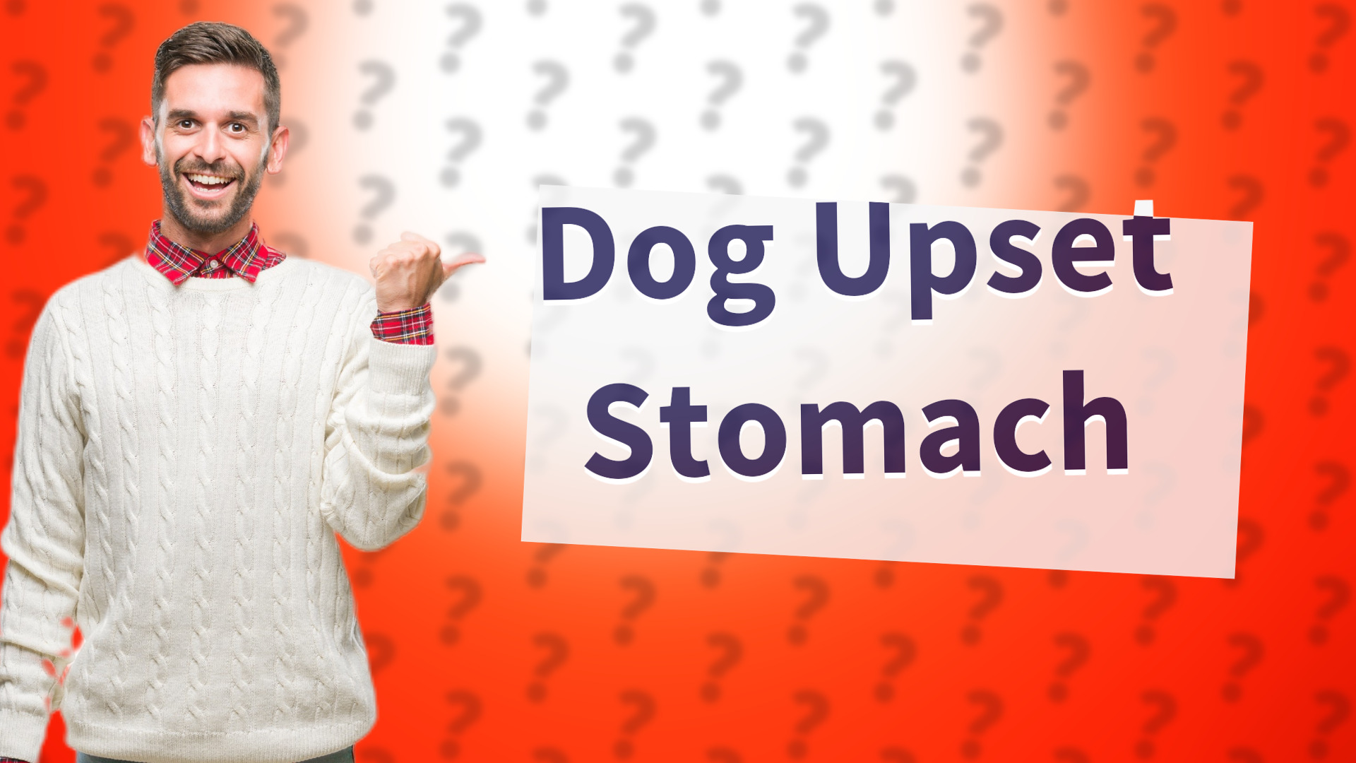Dog Upset Stomach