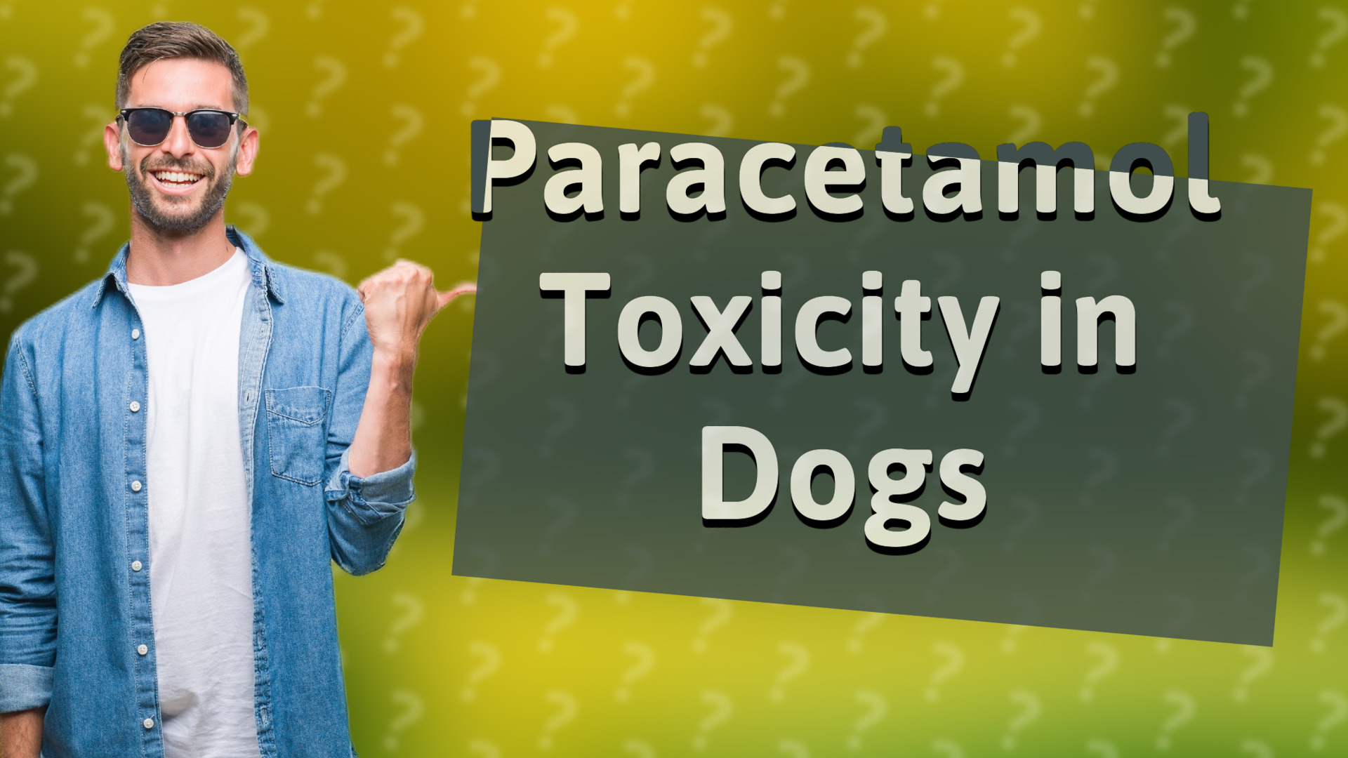 Paracetamol Toxicity in Dogs