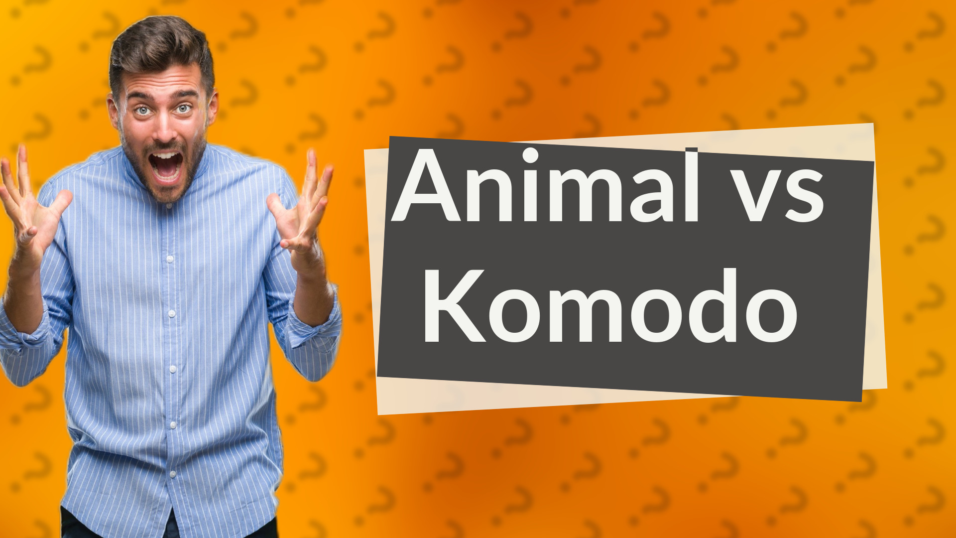 Animal vs Komodo