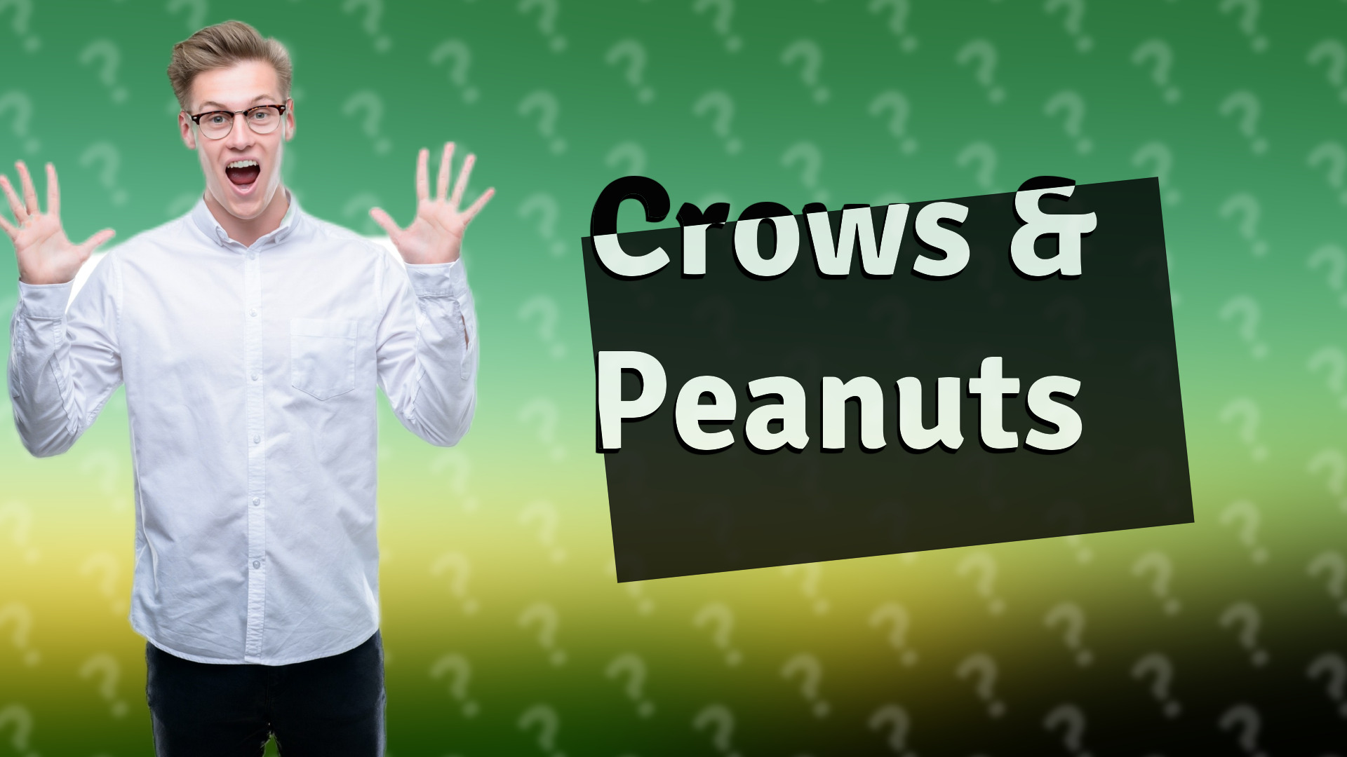 Crows & Peanuts