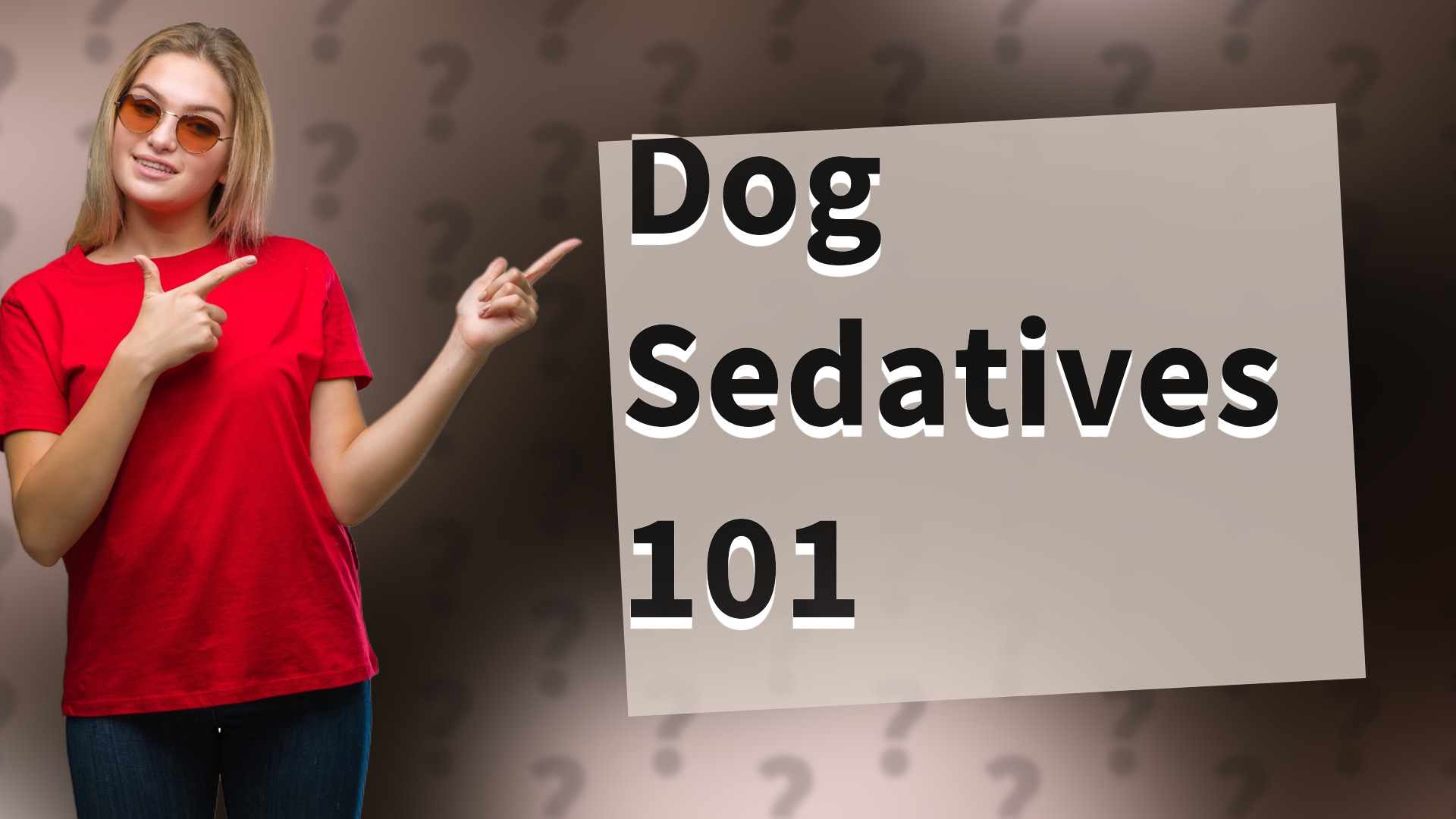 Dog Sedatives 101