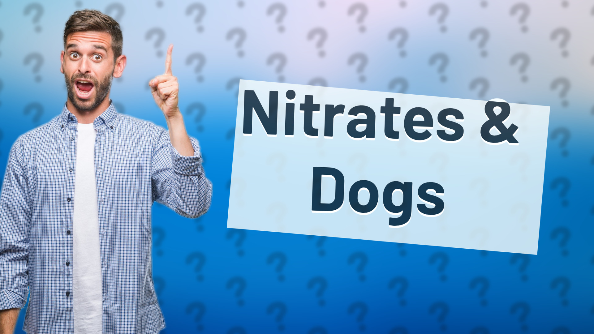 Nitrates & Dogs