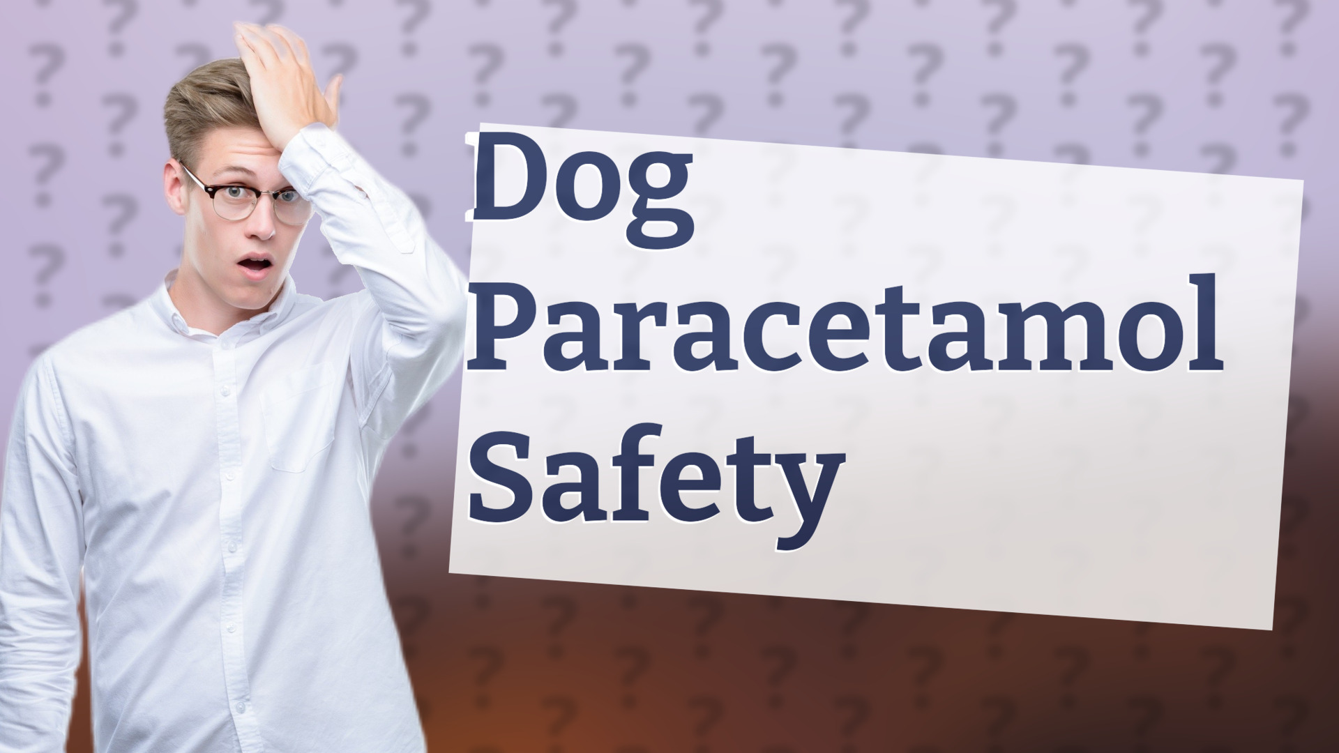Dog Paracetamol Safety