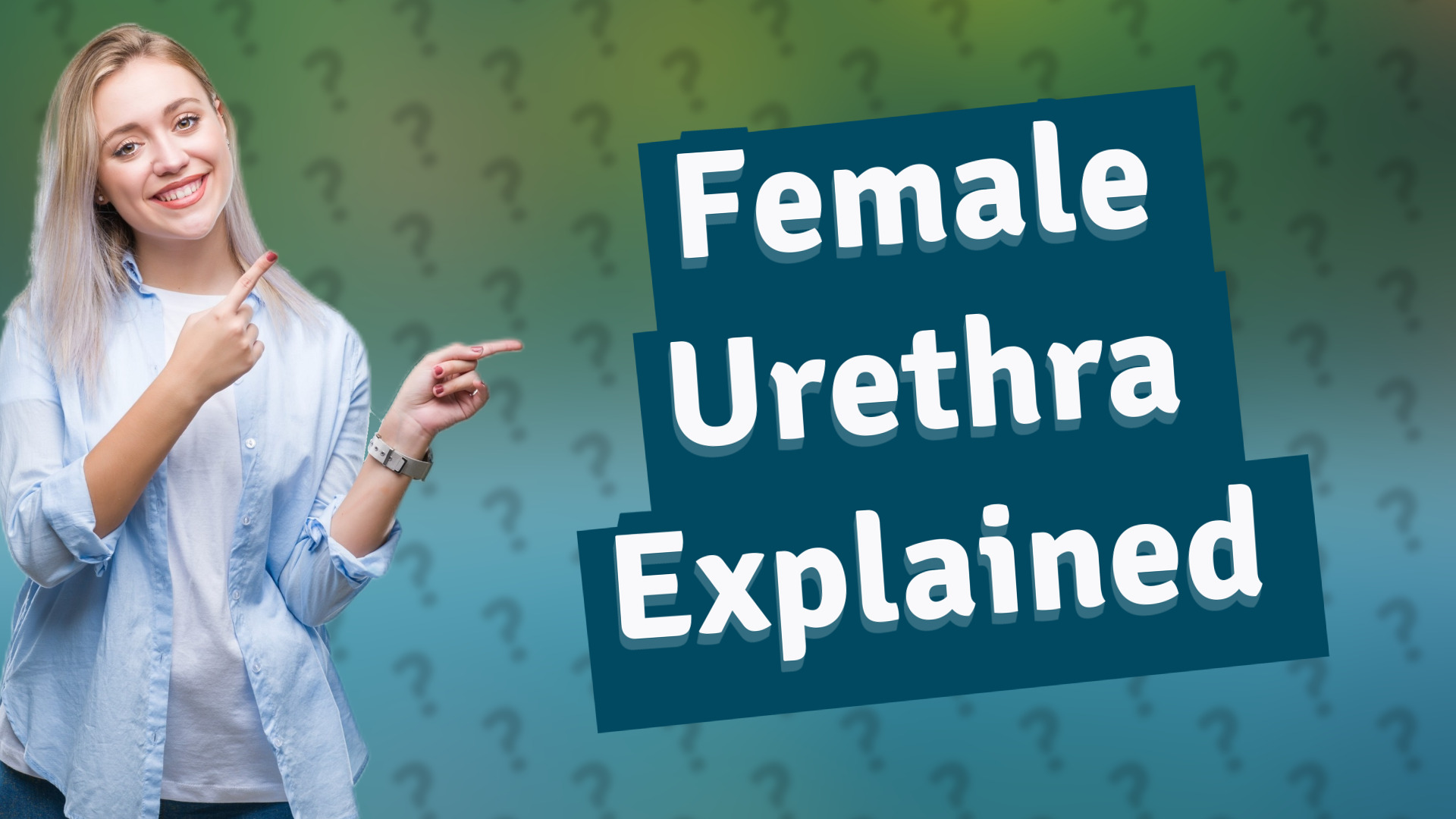 Female Urethra Explained